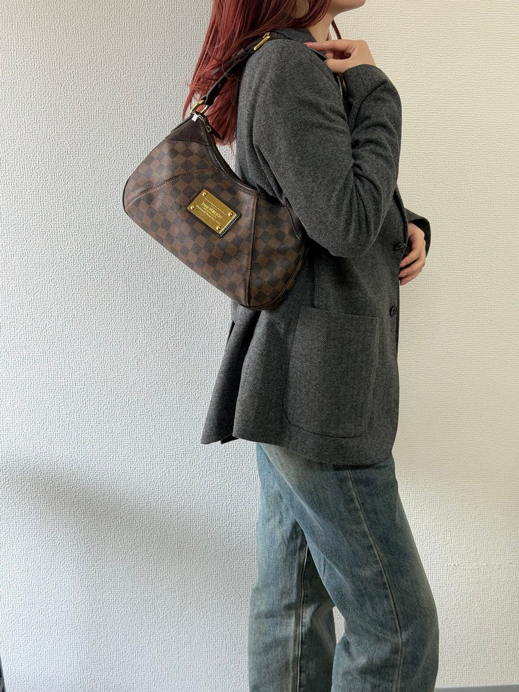 LOUIS VUITTON Damier Handbag