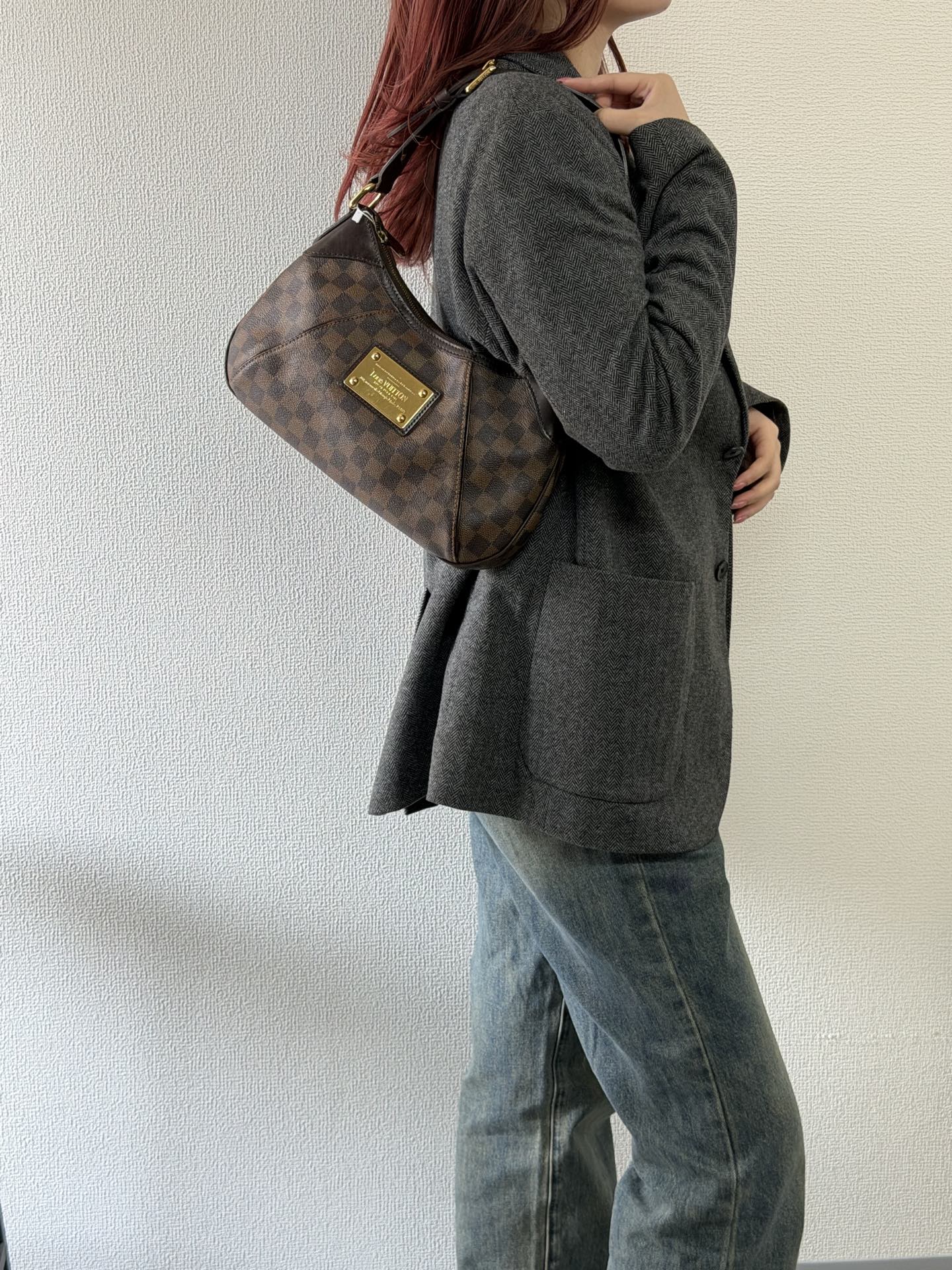 LOUIS VUITTON Damier Handbag