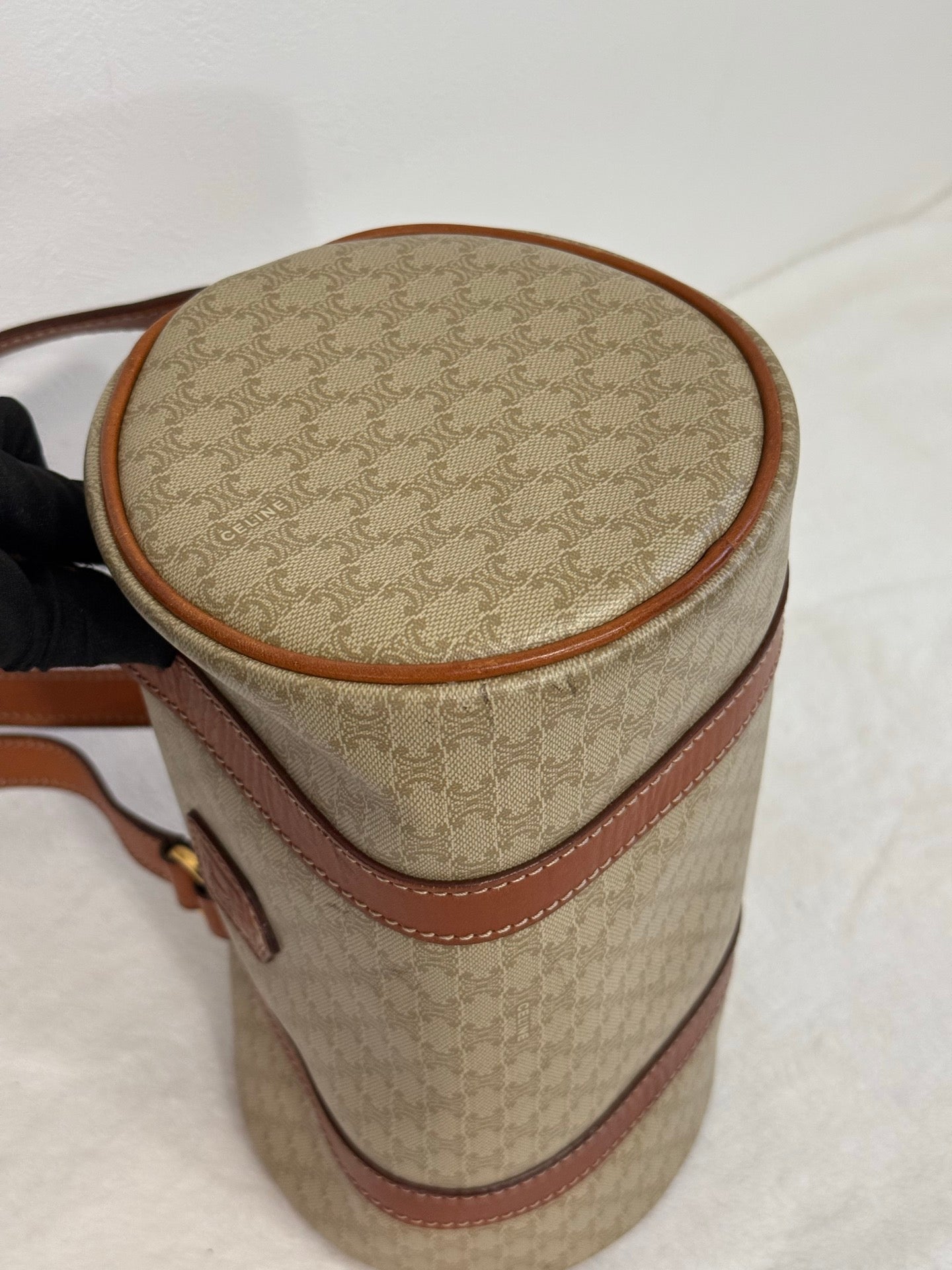 CELINE Papillon Bag