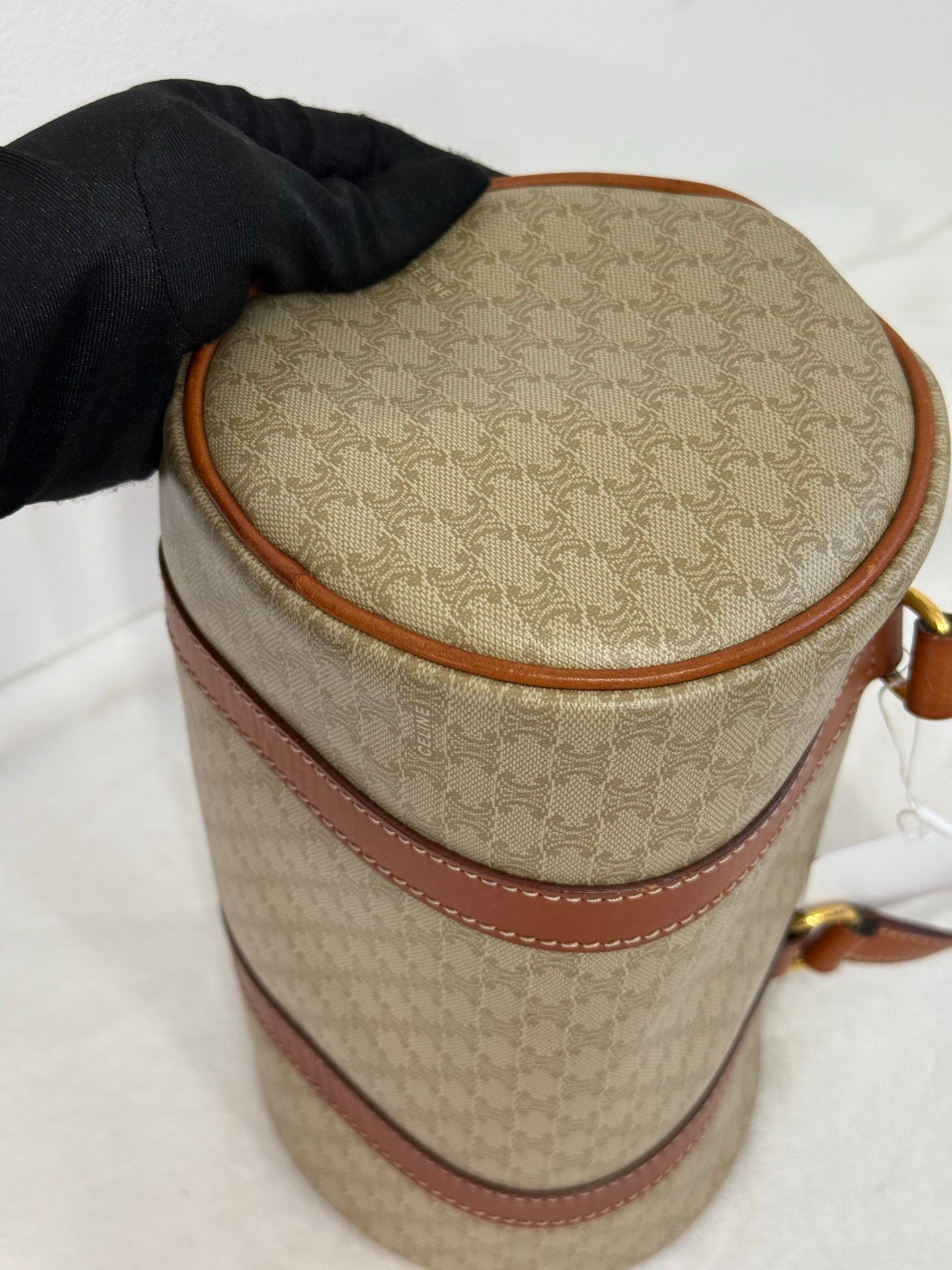 CELINE Papillon Bag