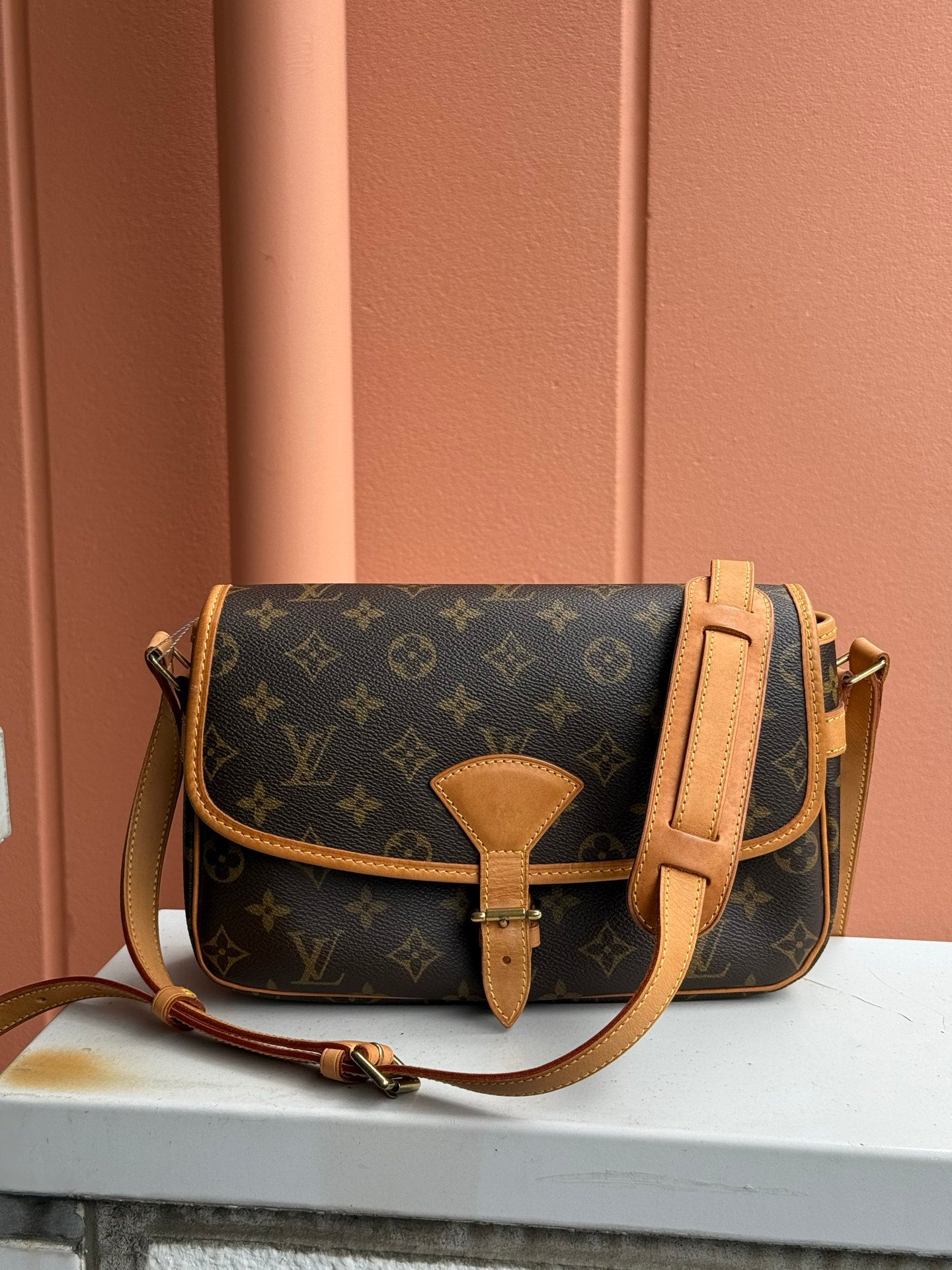 LOUIS VUITTON Monogram Baguette Bag