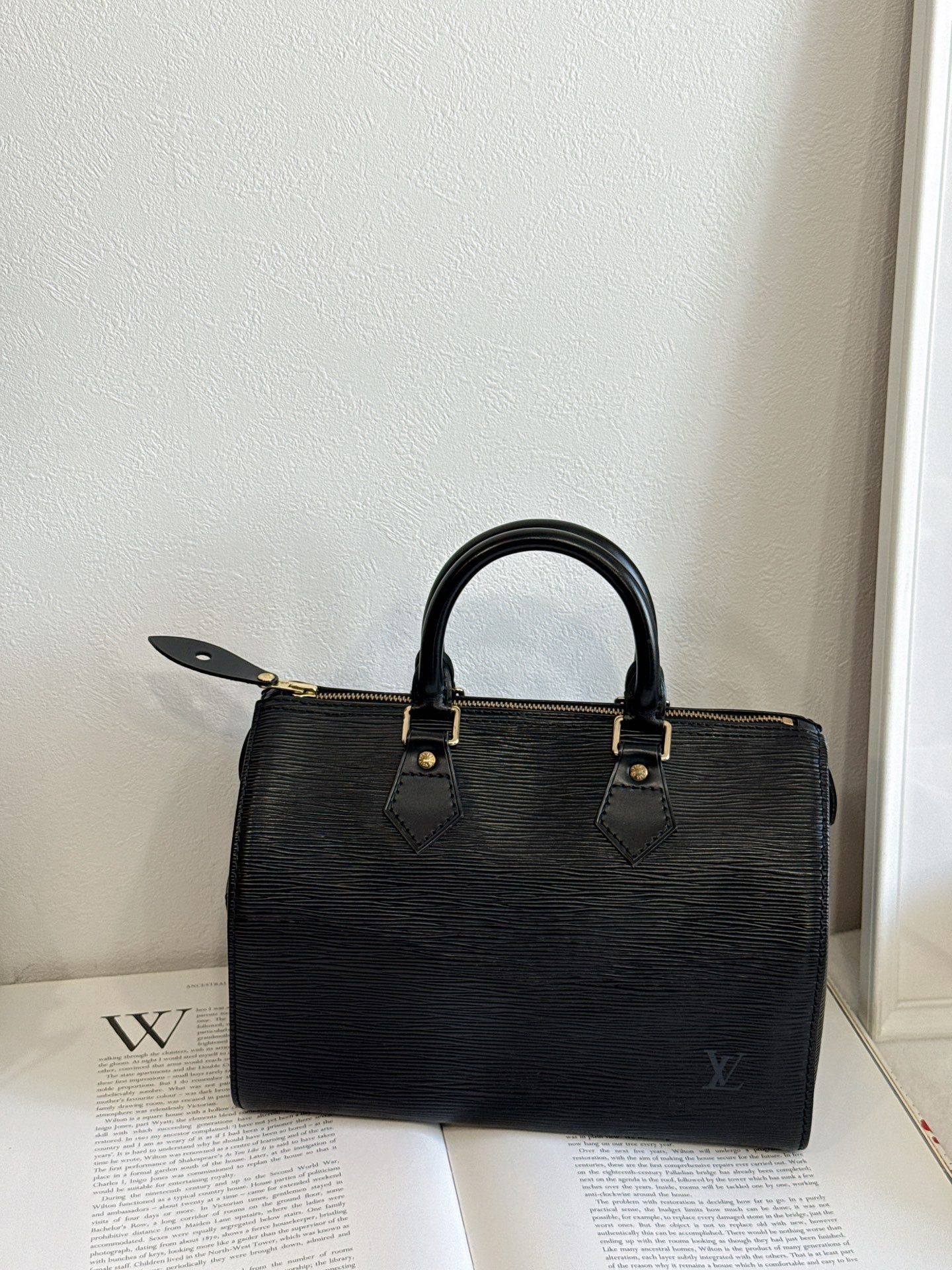 LOUIS VUITTON Epi Speedy 25