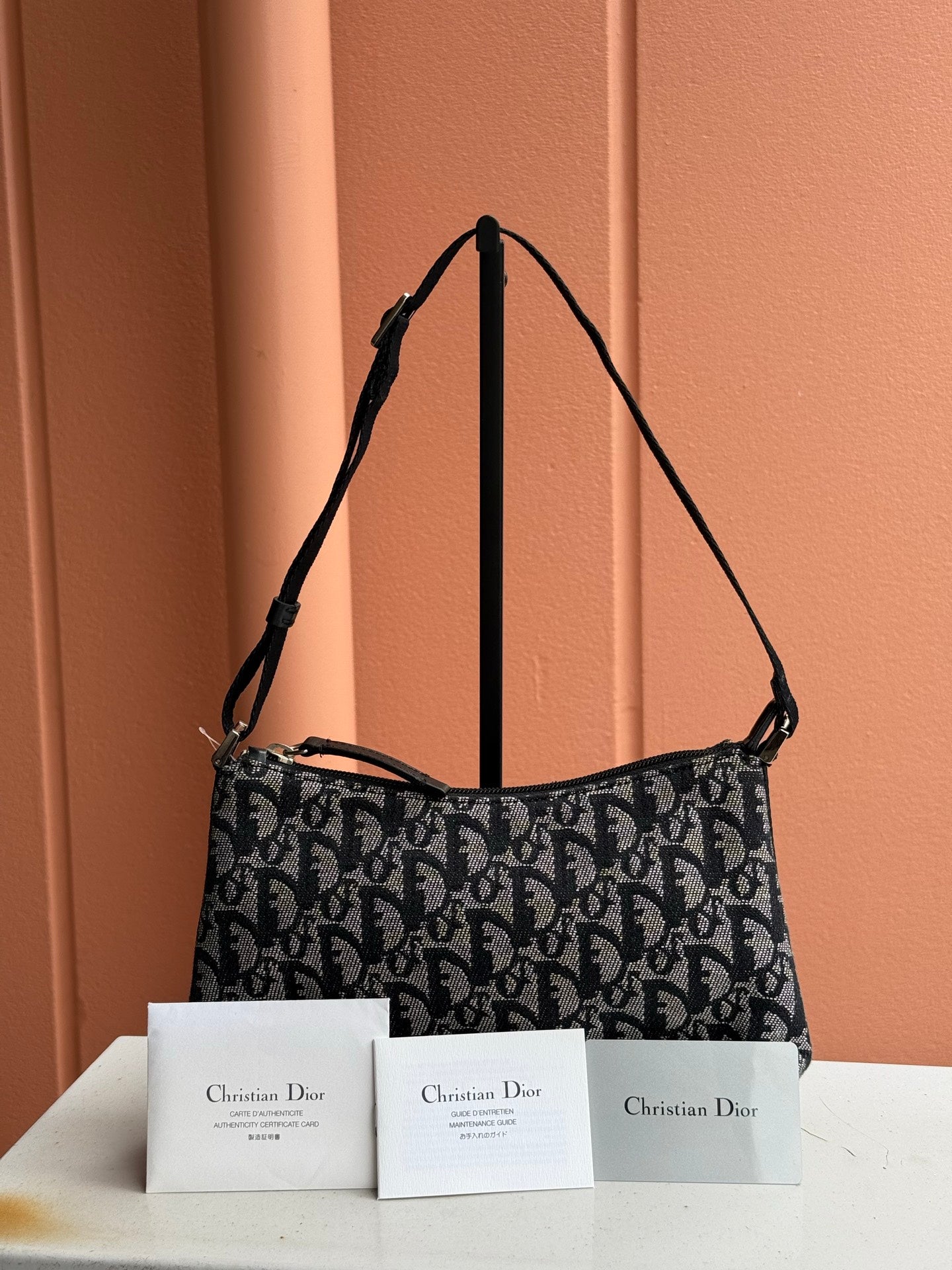 Dior Trotter Shoulder Bag