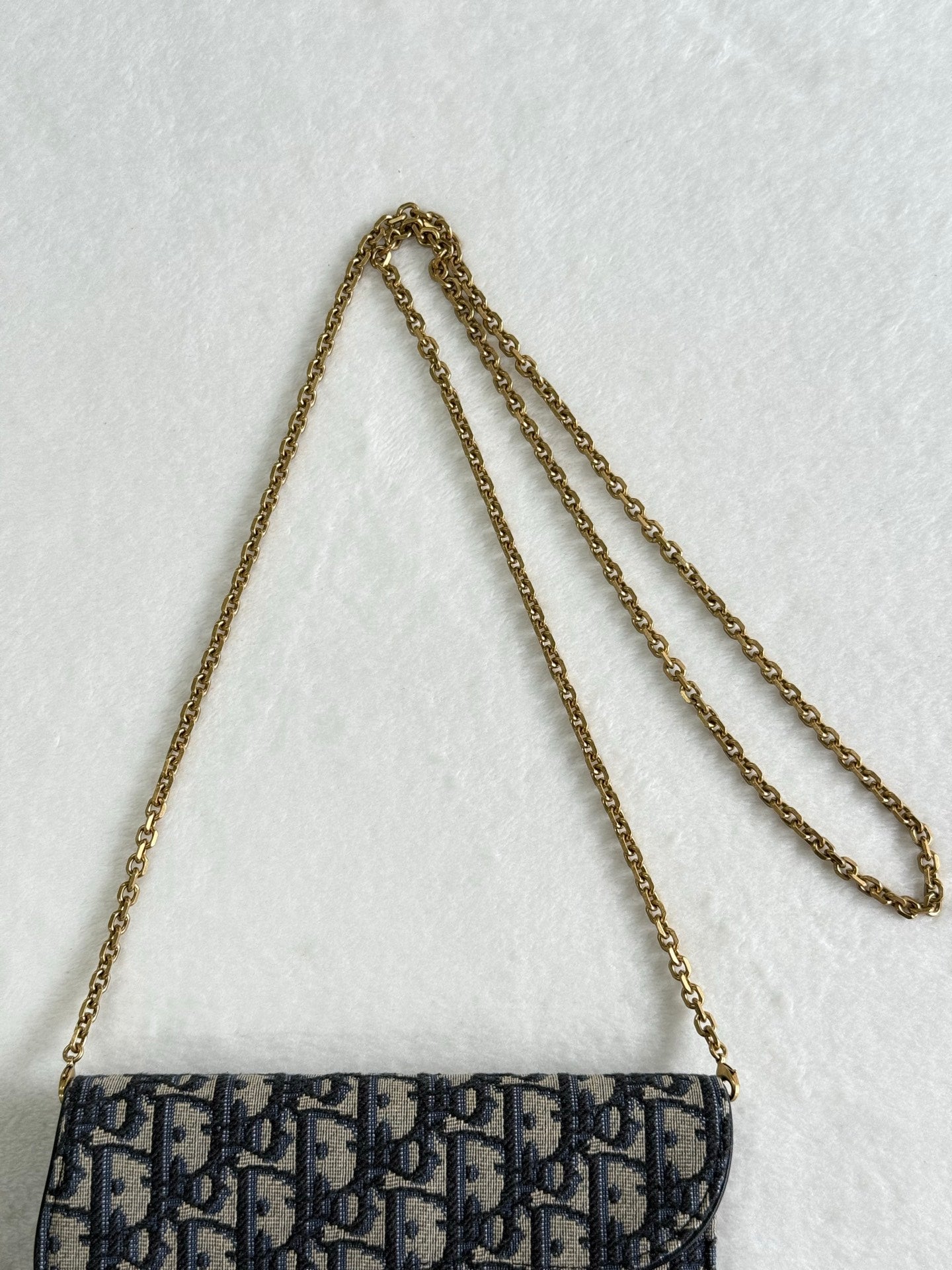 Dior Obliqu Small Saddle Pouch with Chain