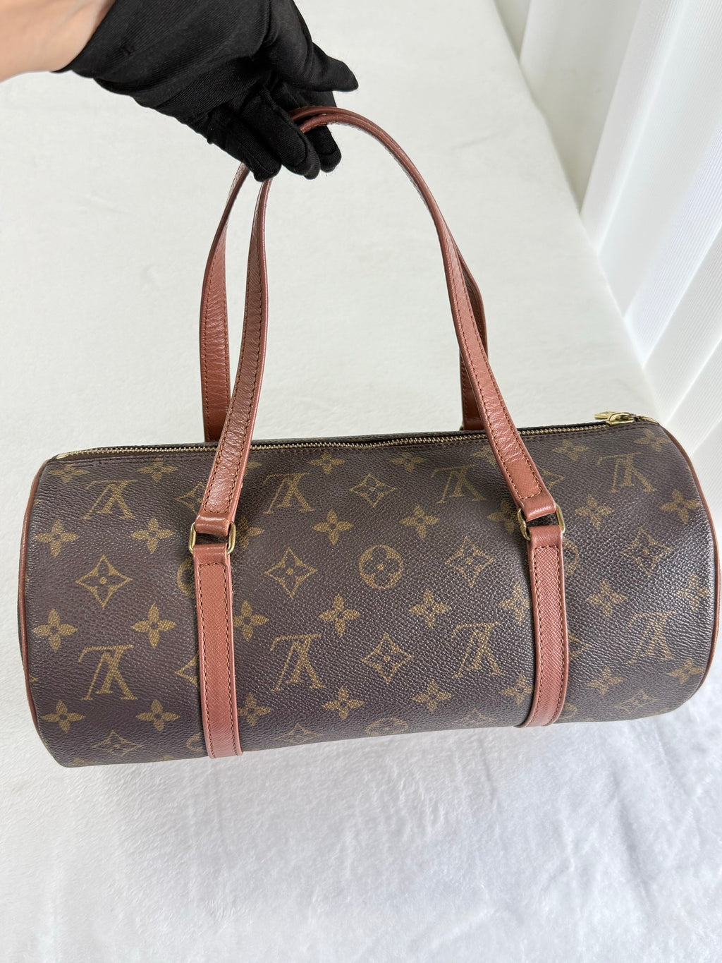 LOUIS VUITTON Monogram Papillon30 with pouch