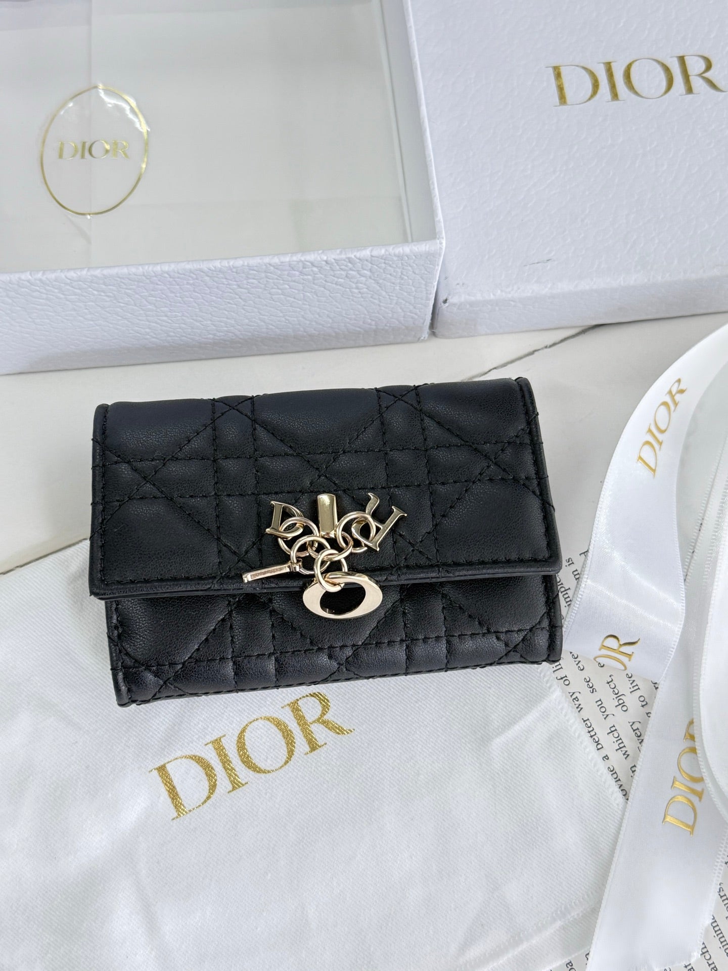 CHRISTIAN DIOR My DIor Glycine Wallet