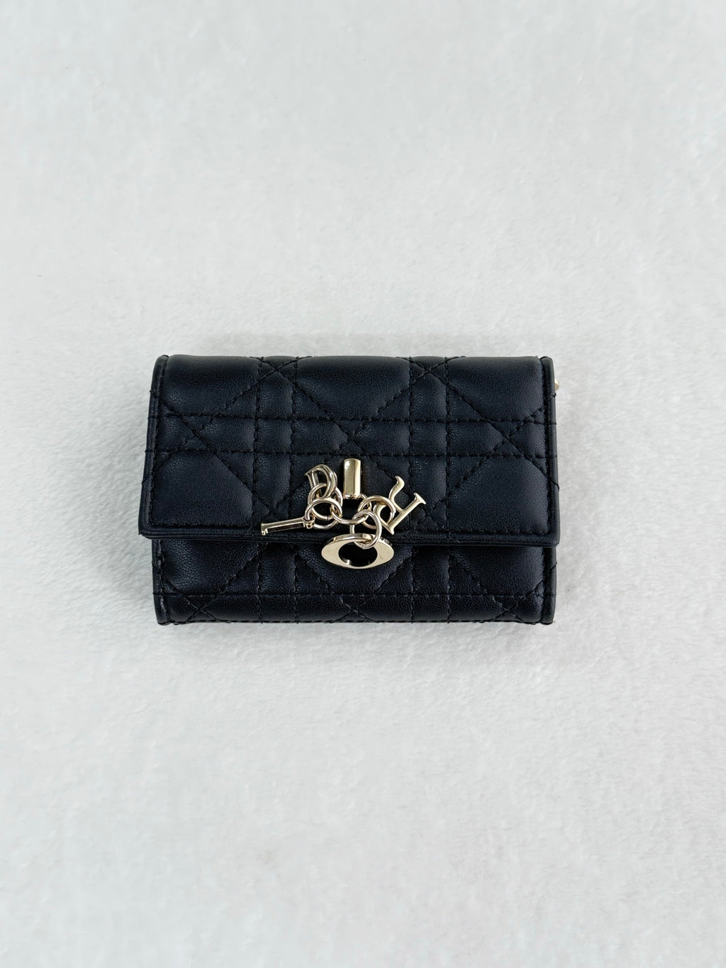 CHRISTIAN DIOR My DIor Glycine Wallet
