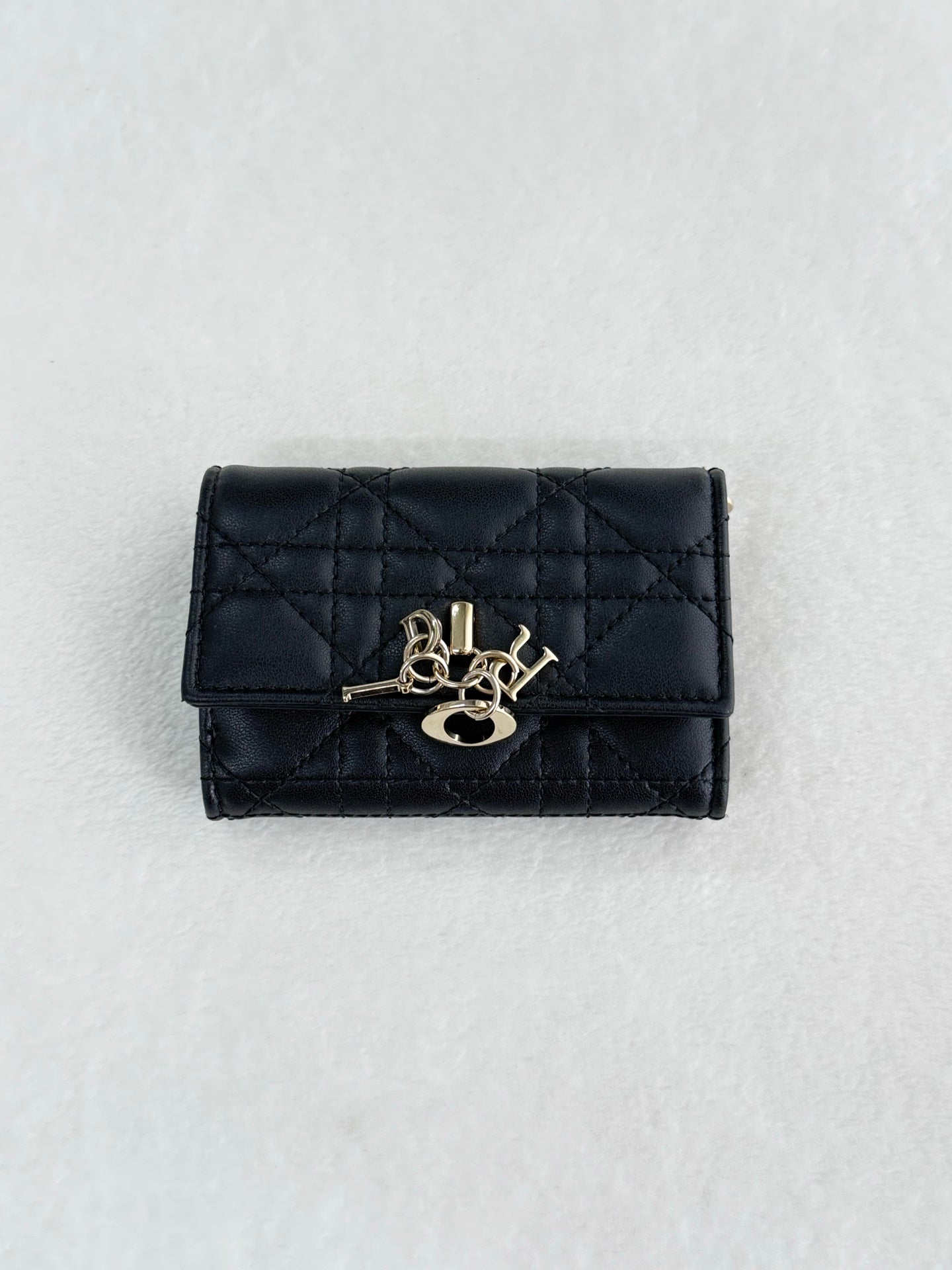CHRISTIAN DIOR My DIor Glycine Wallet