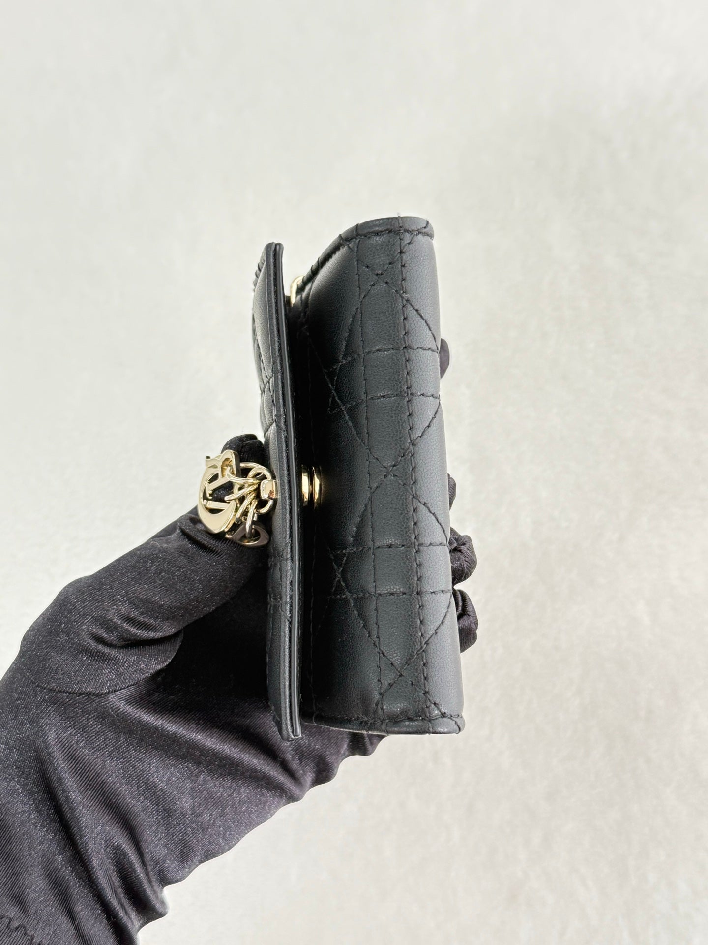CHRISTIAN DIOR My DIor Glycine Wallet
