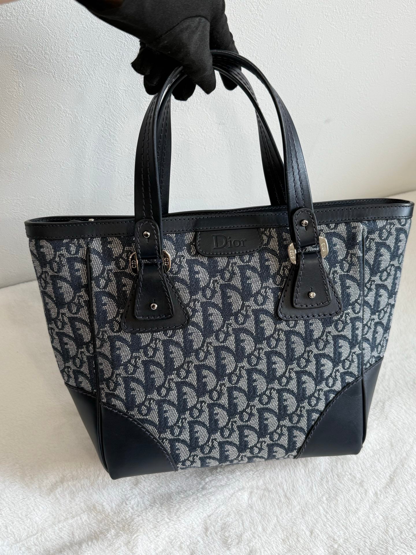 Dior Oblique Trotter Totebag