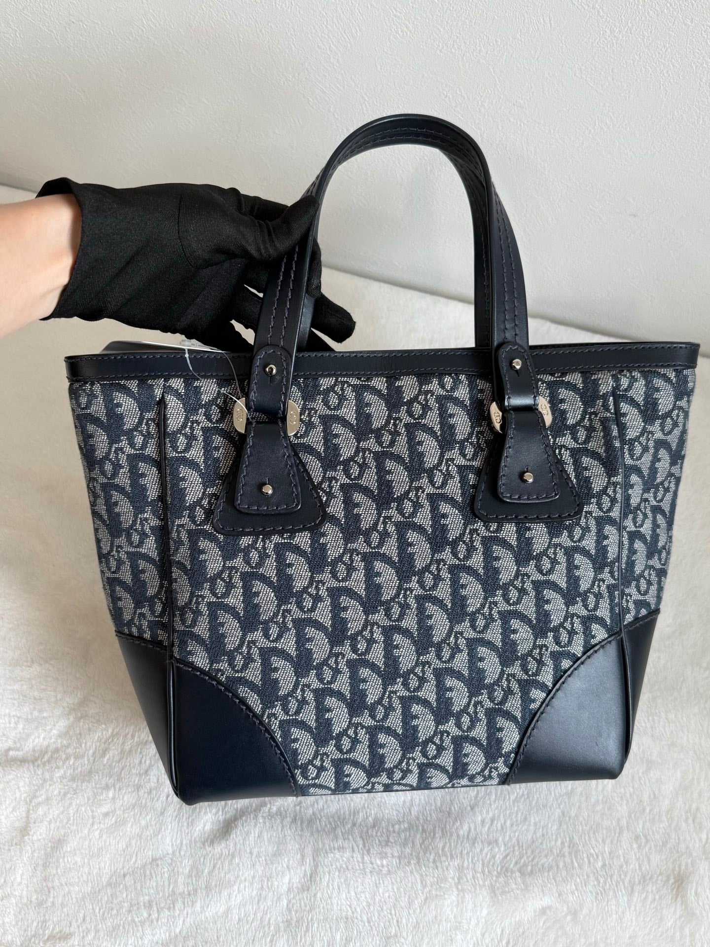 Dior Oblique Trotter Totebag