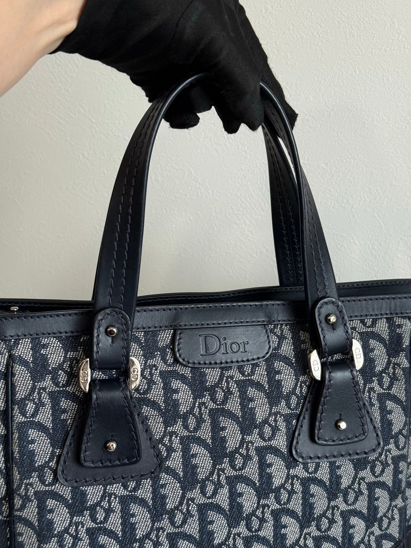Dior Oblique Trotter Totebag