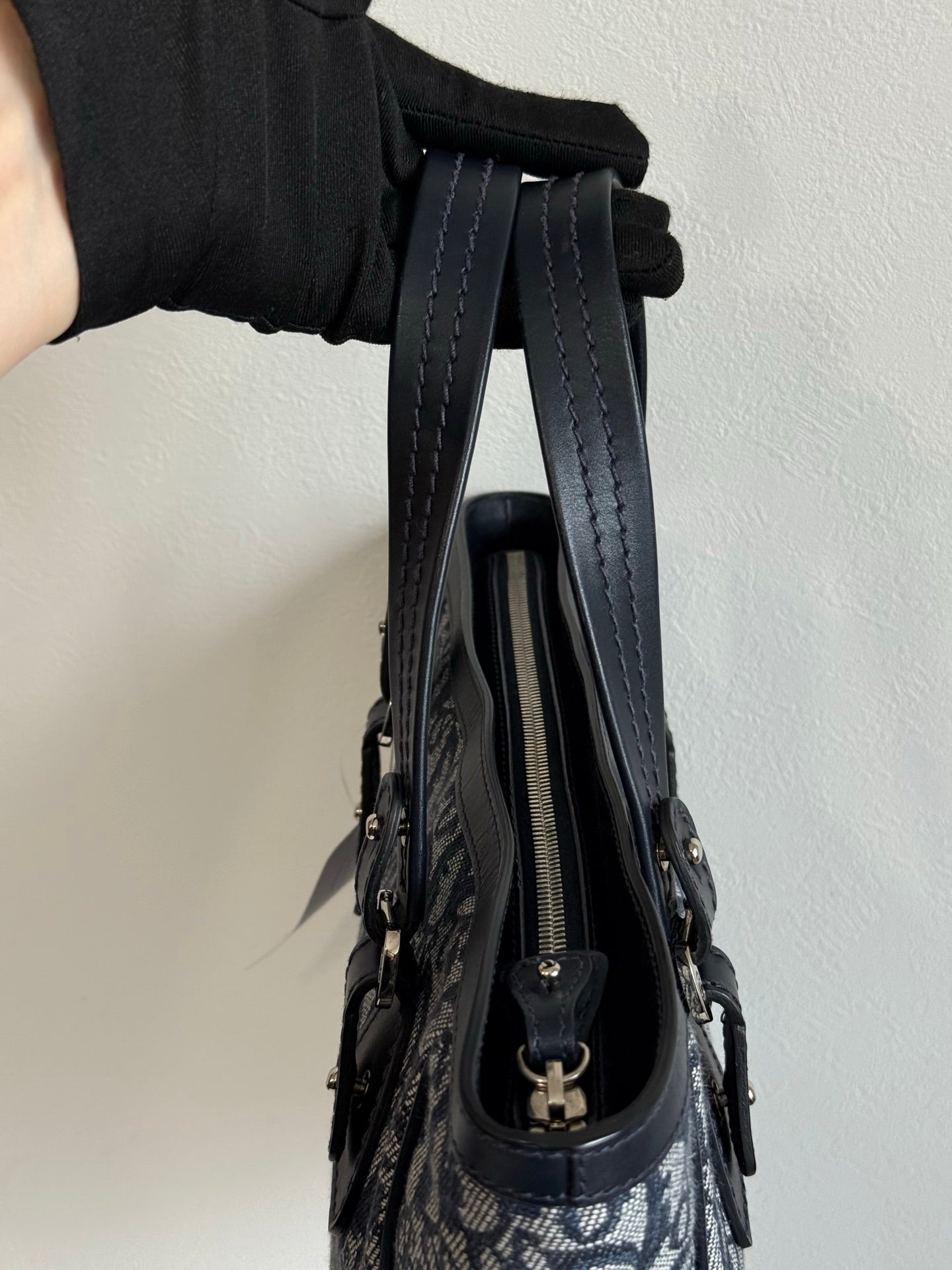 Dior Oblique Trotter Totebag