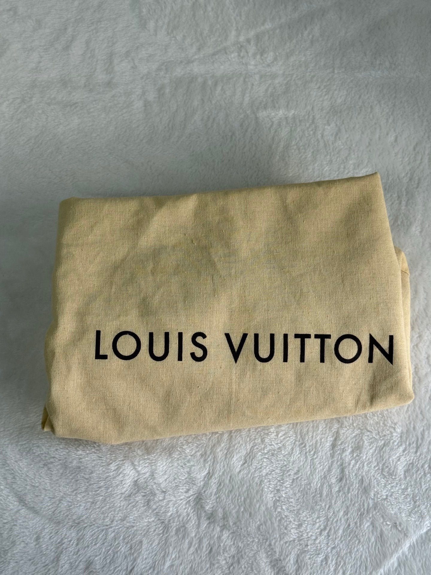 LOUIS VUITTON Denim Neo Cabby MM Shoulder bag Pre-loved