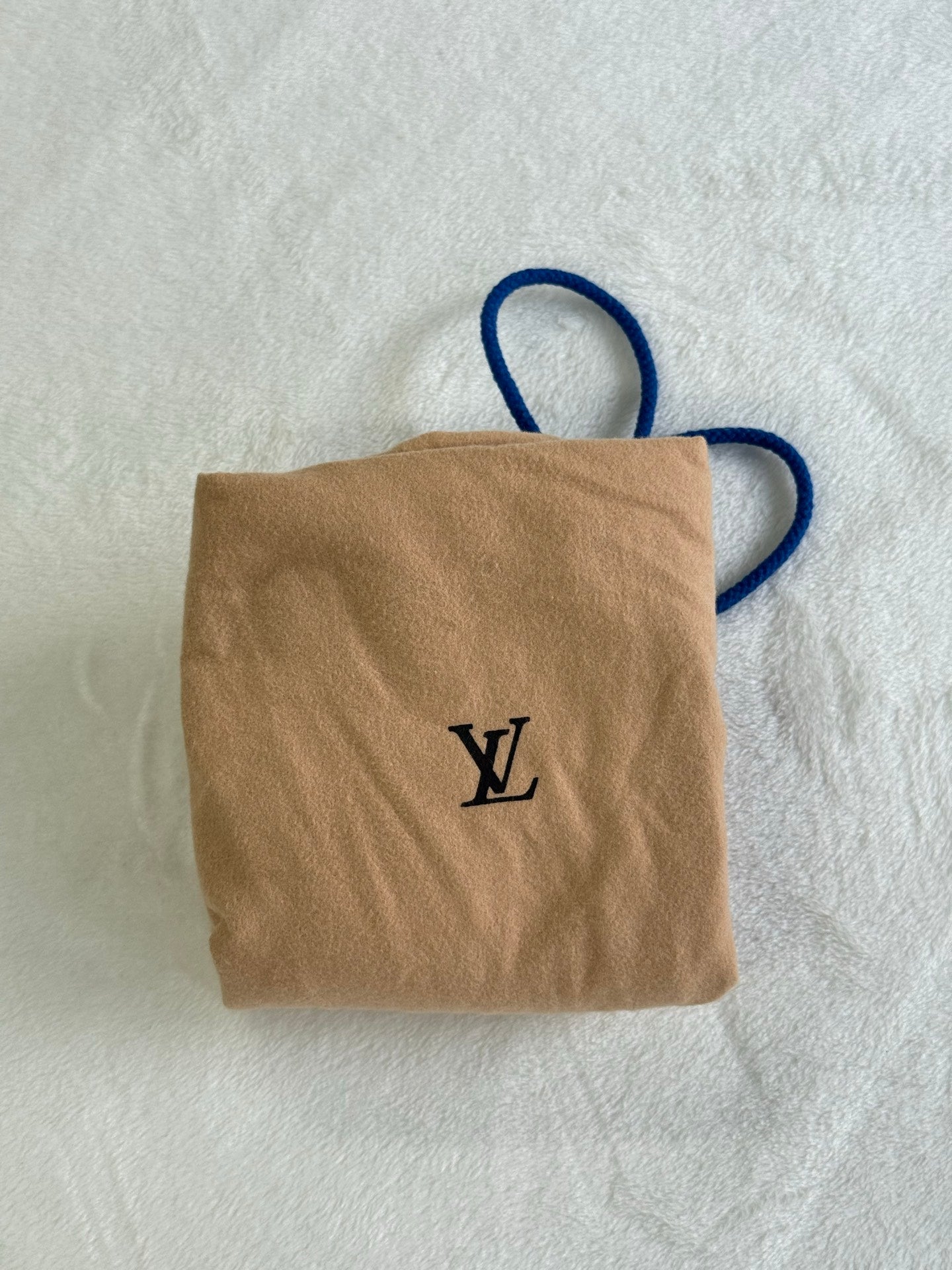 LOUIS VUITTON Monogram Papillion 26