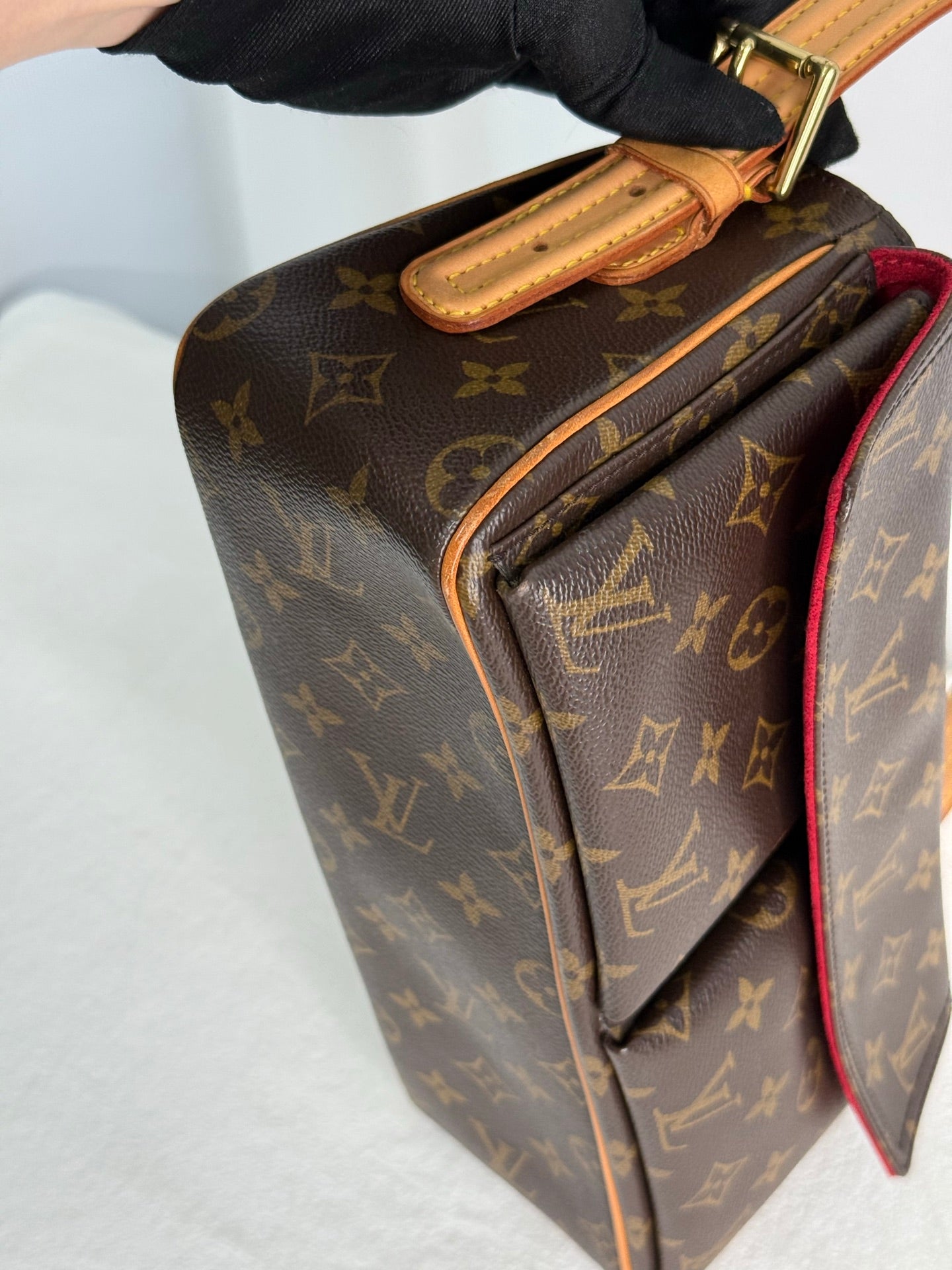LOUIS VUITTON Monogram Viva Cite MM
