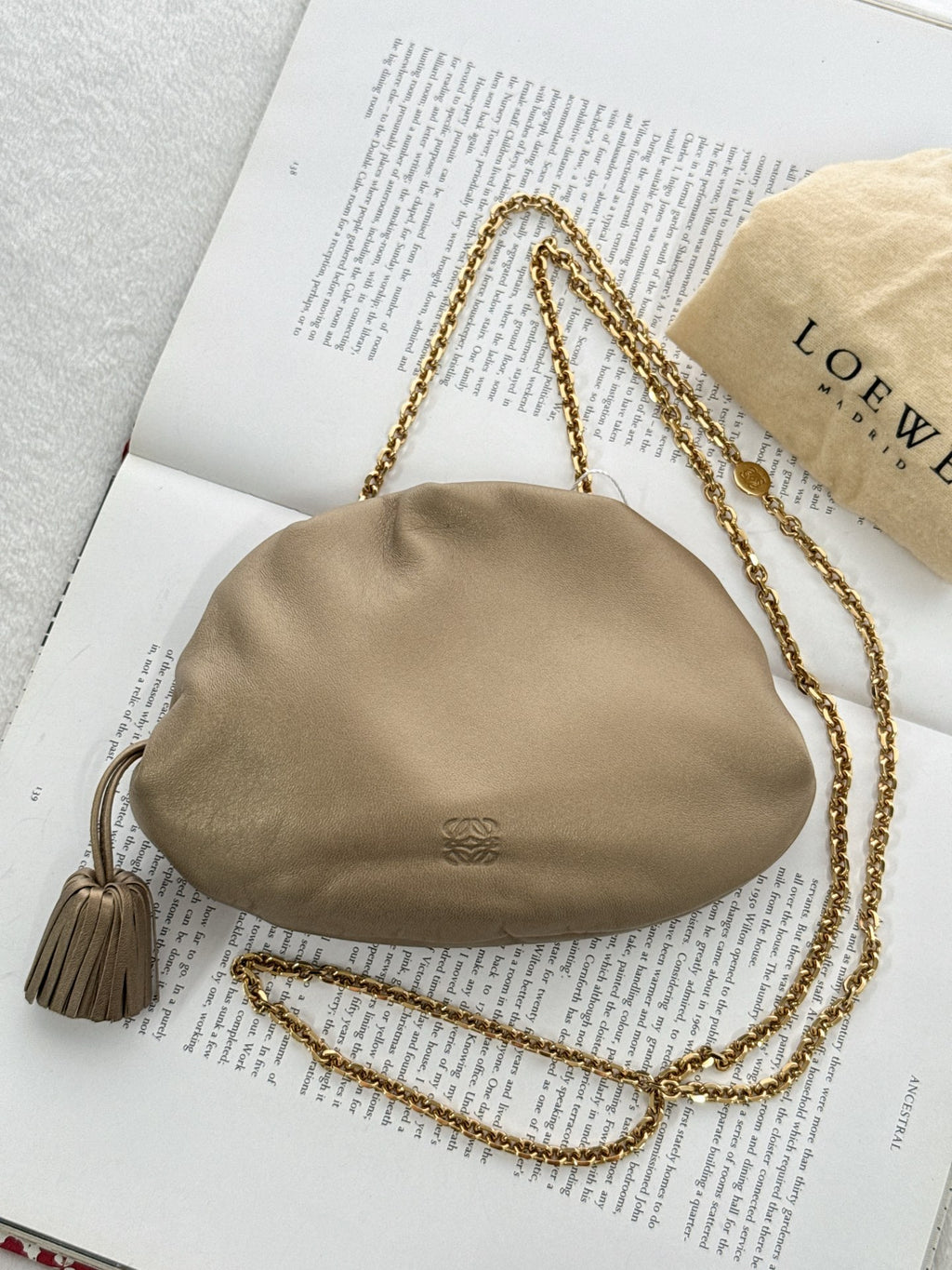 LOEWE Olive-gold  Cloud Kisslock Bag