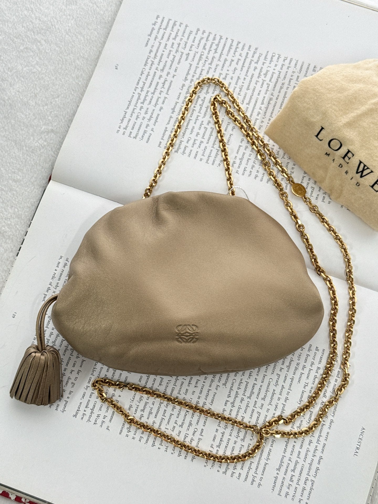 LOEWE Olive-gold  Cloud Kisslock Bag
