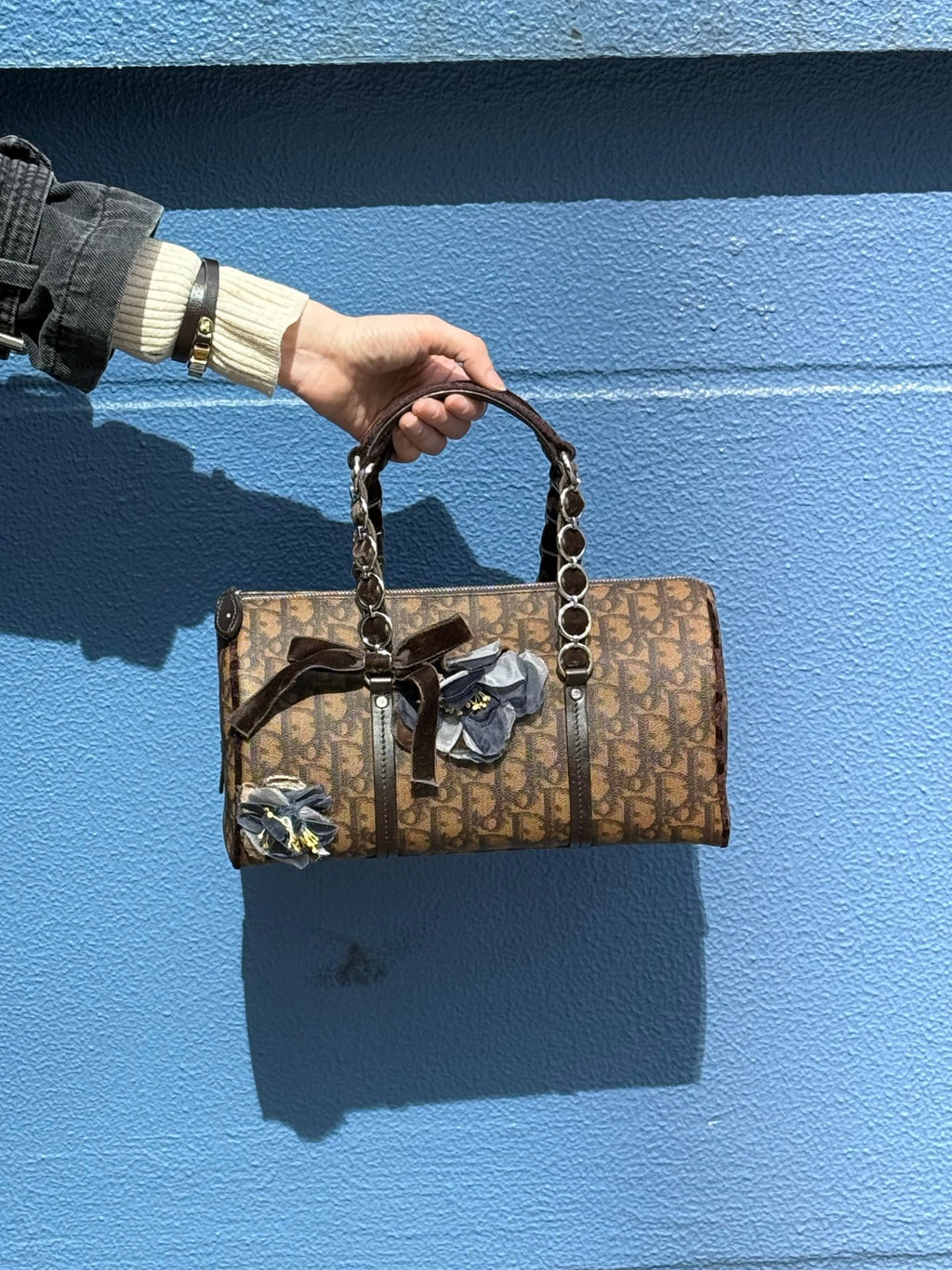 DIOR Trotter Romantique Hand Bag PVC Leather