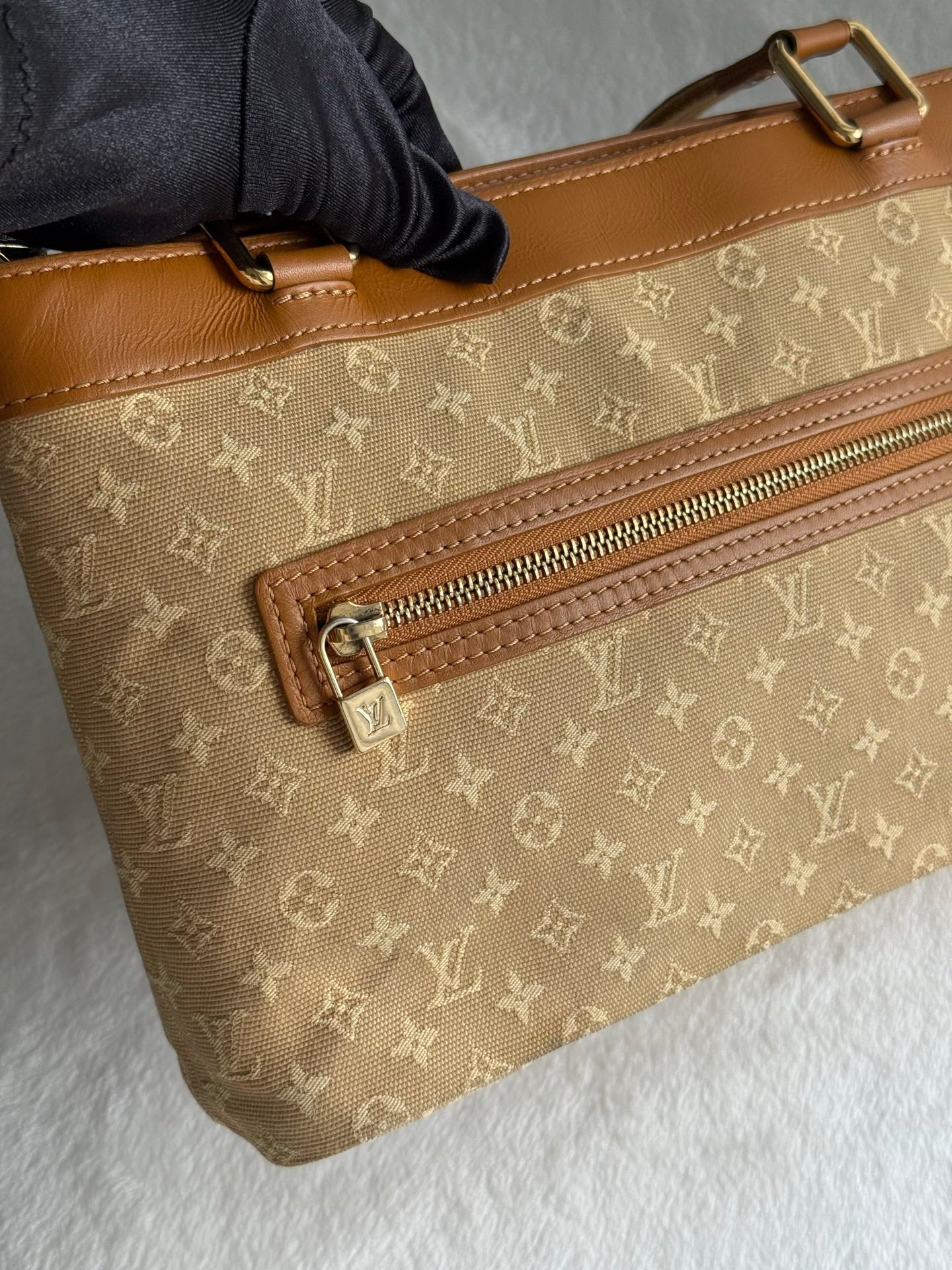 LOUIS VUITTON Denim Hand Bag
