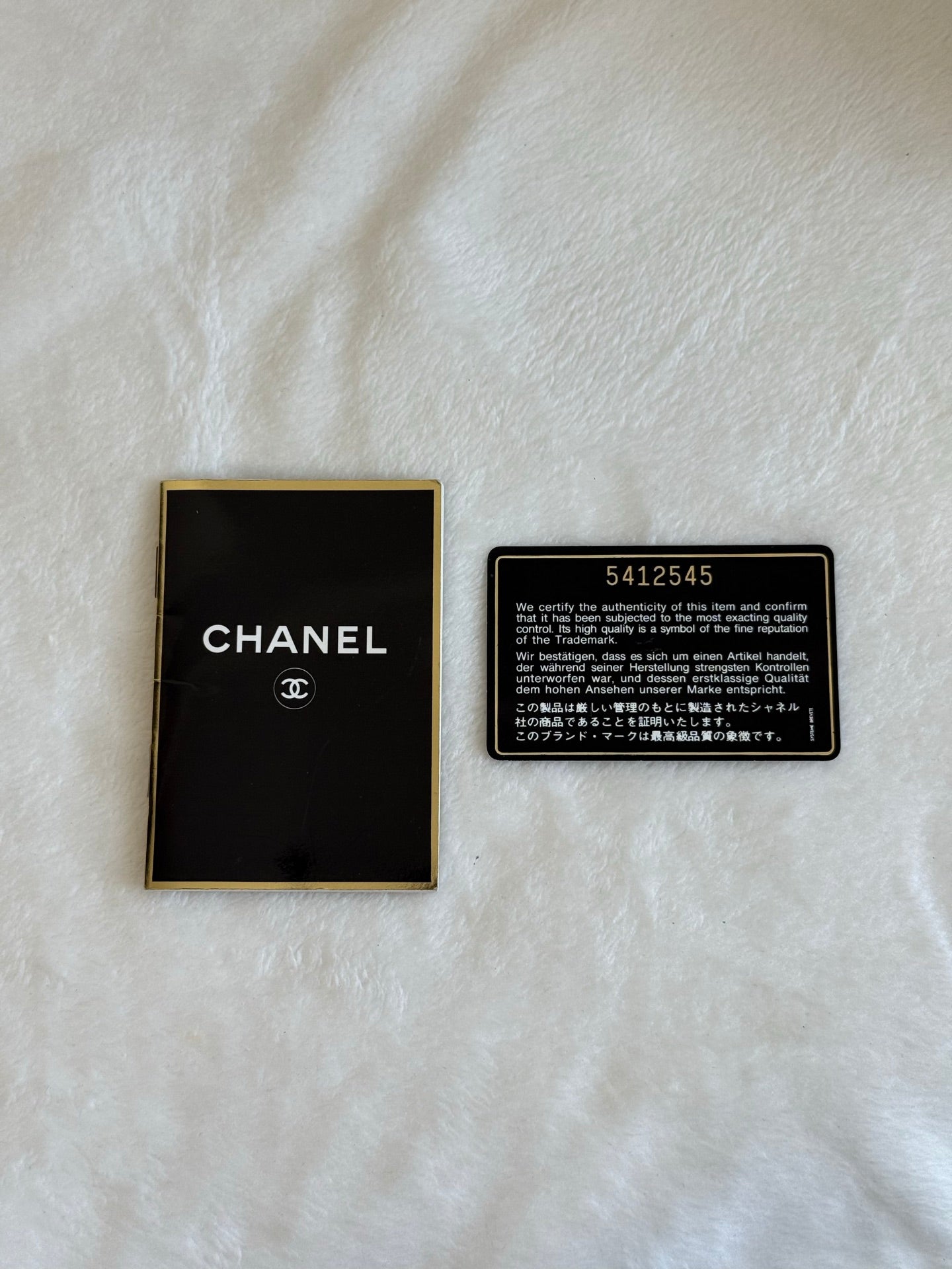 CHANEL Hilton Hand Bag