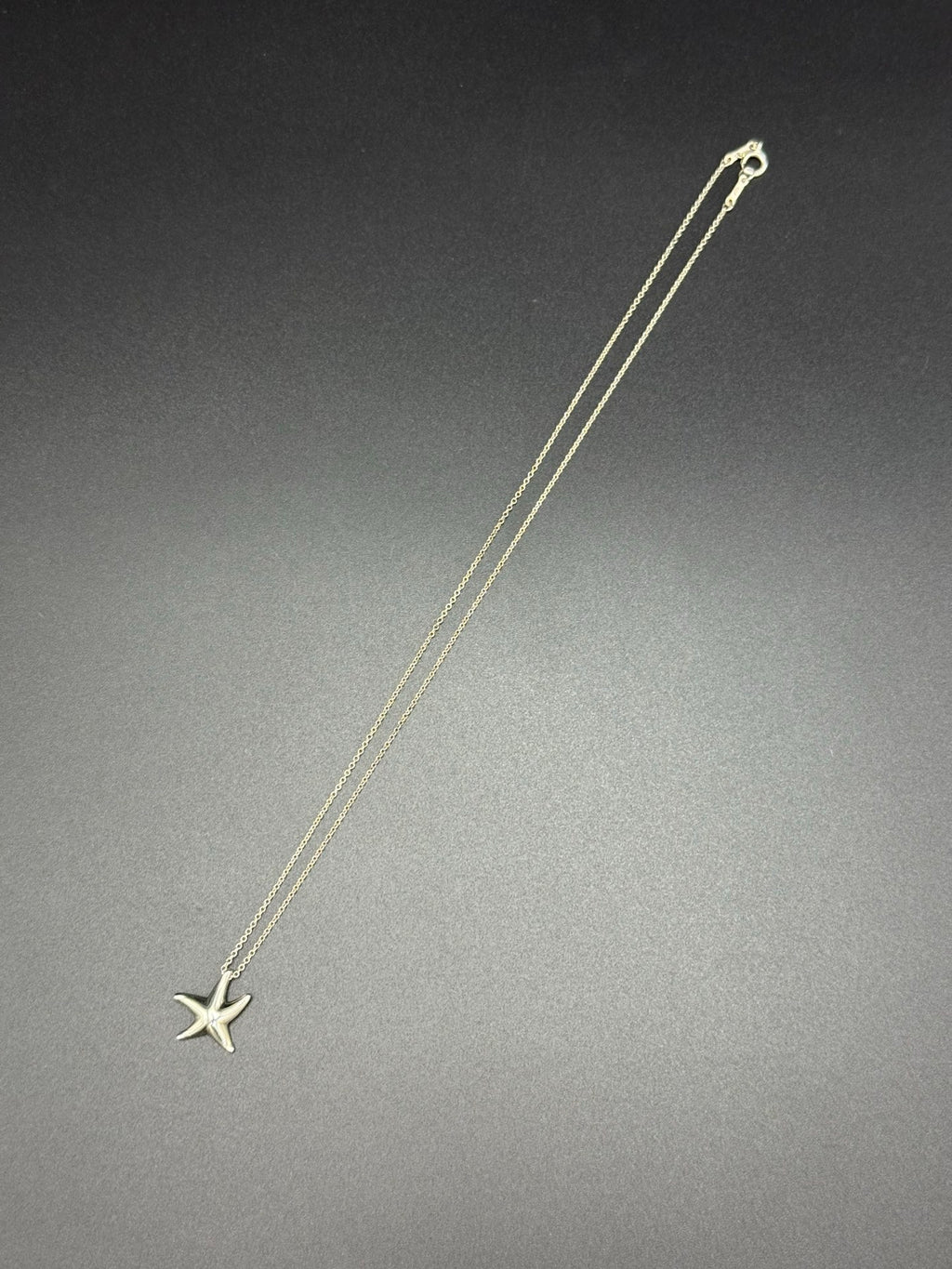 TIFFANY&Co. Starfish Pendant Necklace