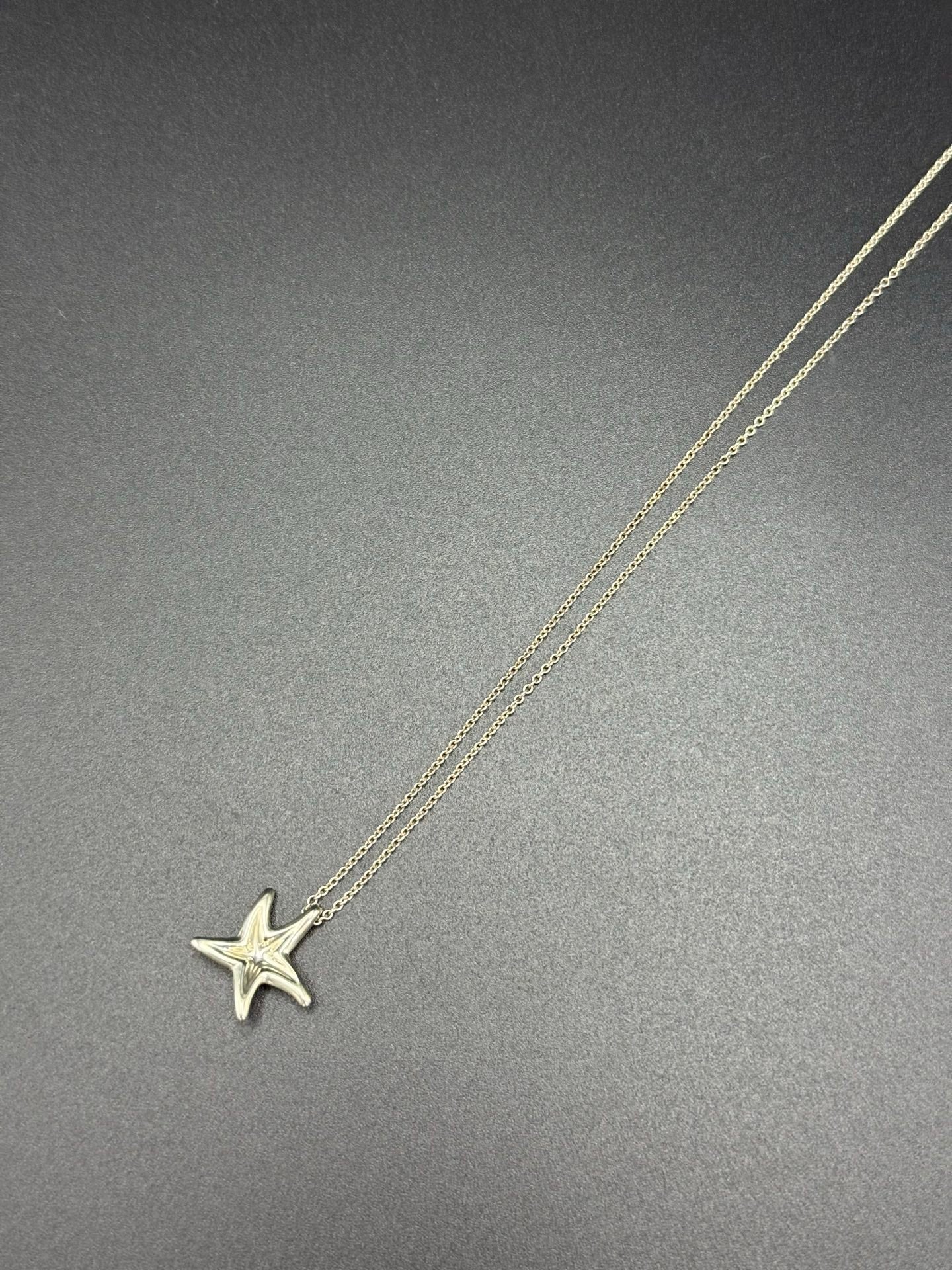 TIFFANY&Co. Starfish Pendant Necklace