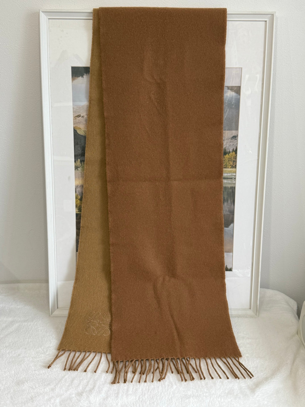 LOEWE Wool Scarf