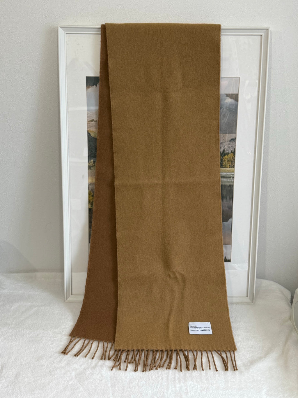 LOEWE Wool Scarf
