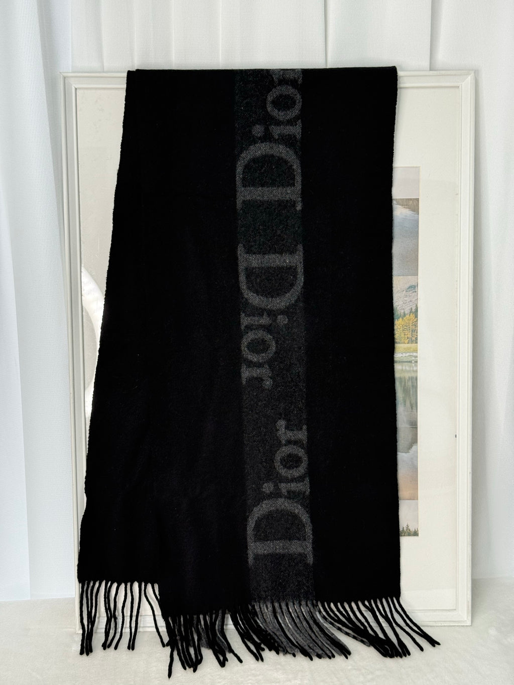 DIOR Wool Scarf