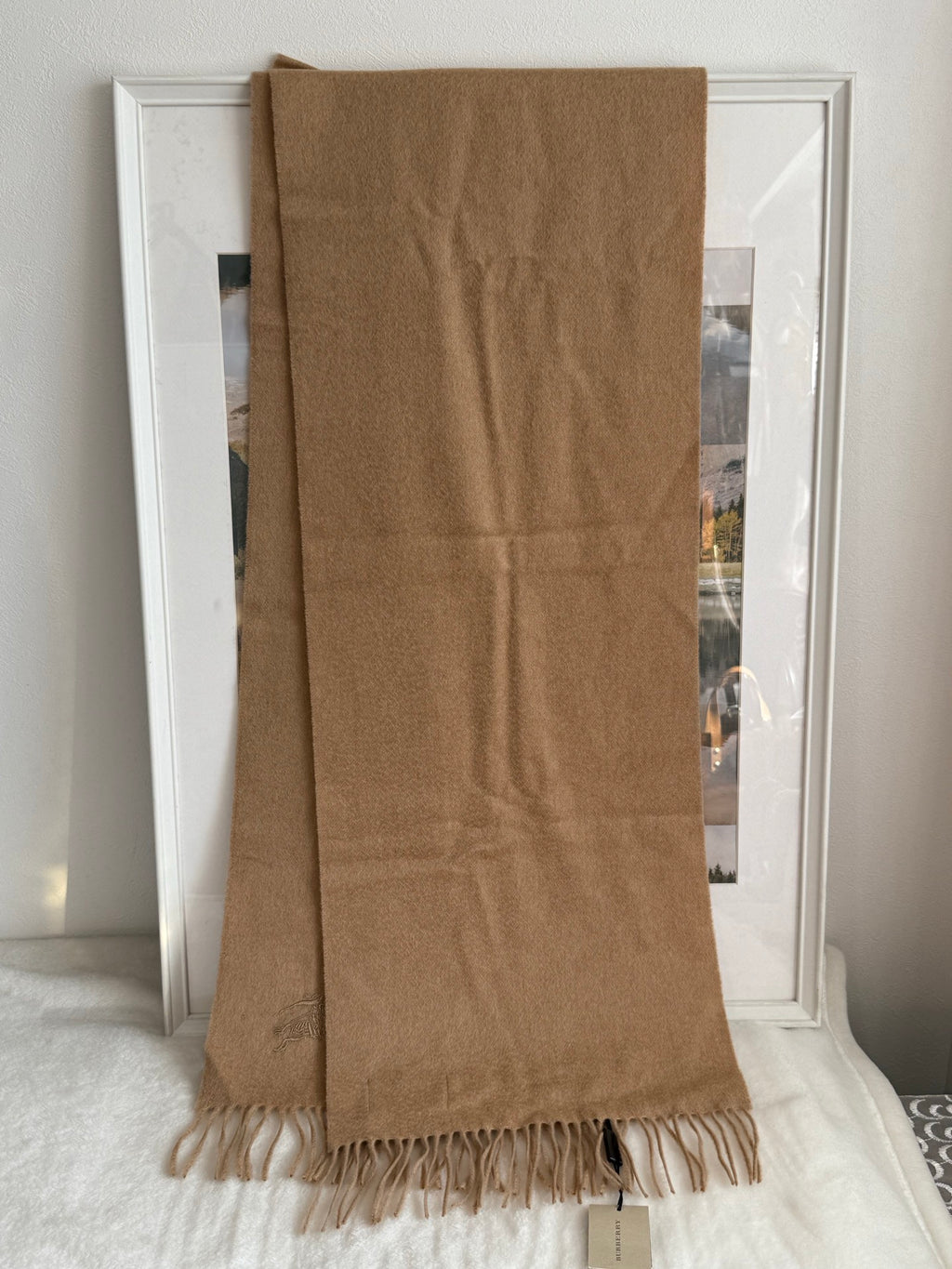 BURBERRY Scarf