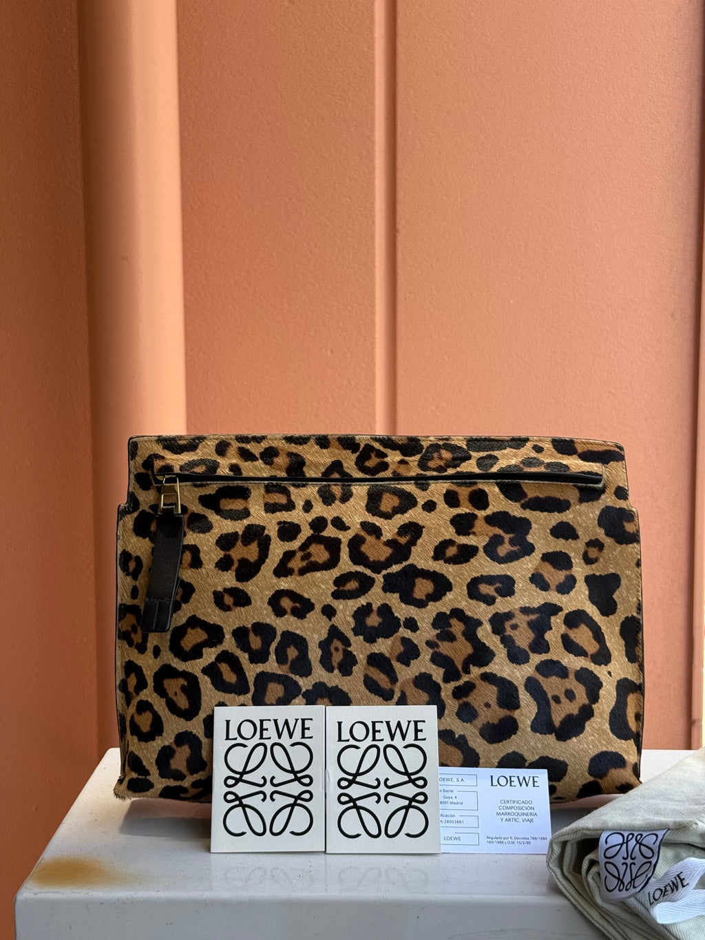 LOEWE Pony-hair leopard print clutch