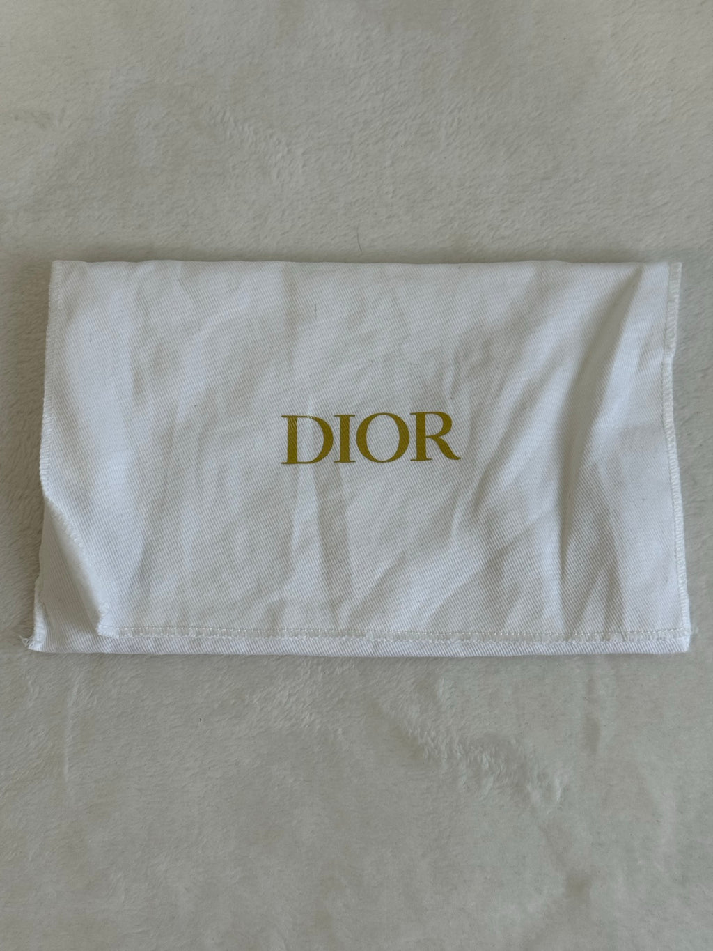 CHRISTIAN DIOR Saddle 2-WAY Purse