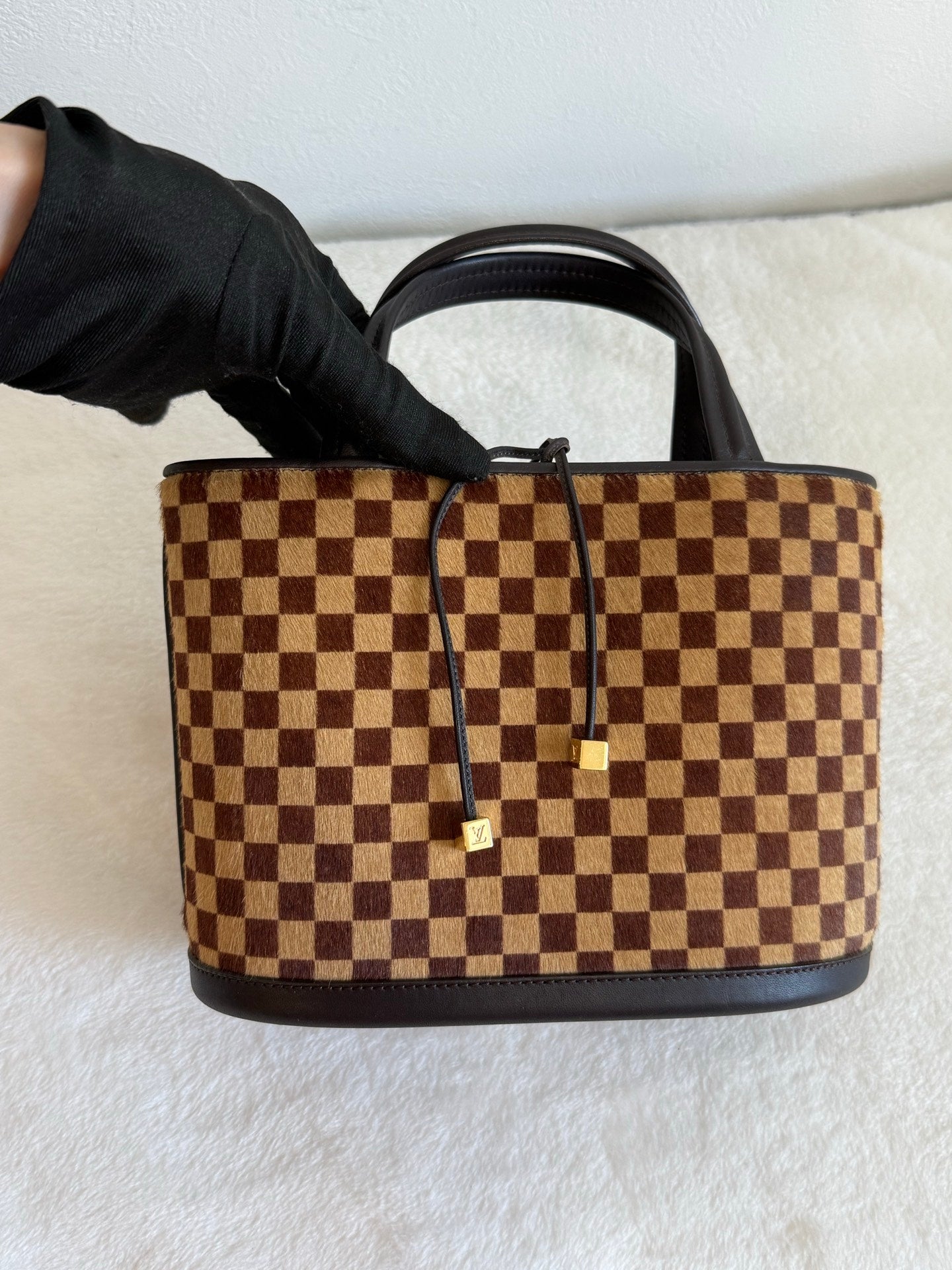 LOUIS VUITTON Damier Pony hair leather