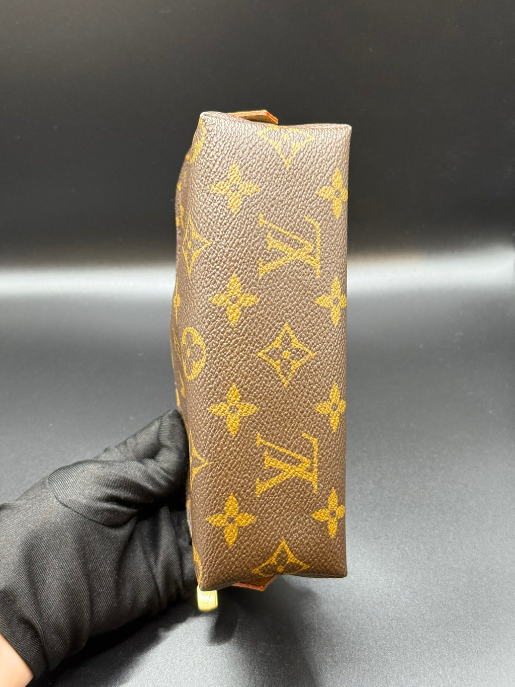 LOUIS VUITTON Monogram  Mini bag