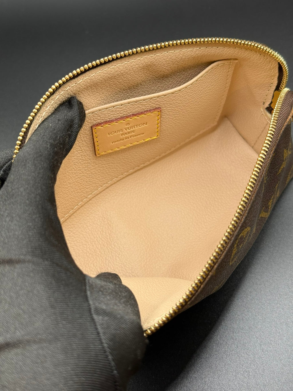 LOUIS VUITTON Monogram  Mini bag
