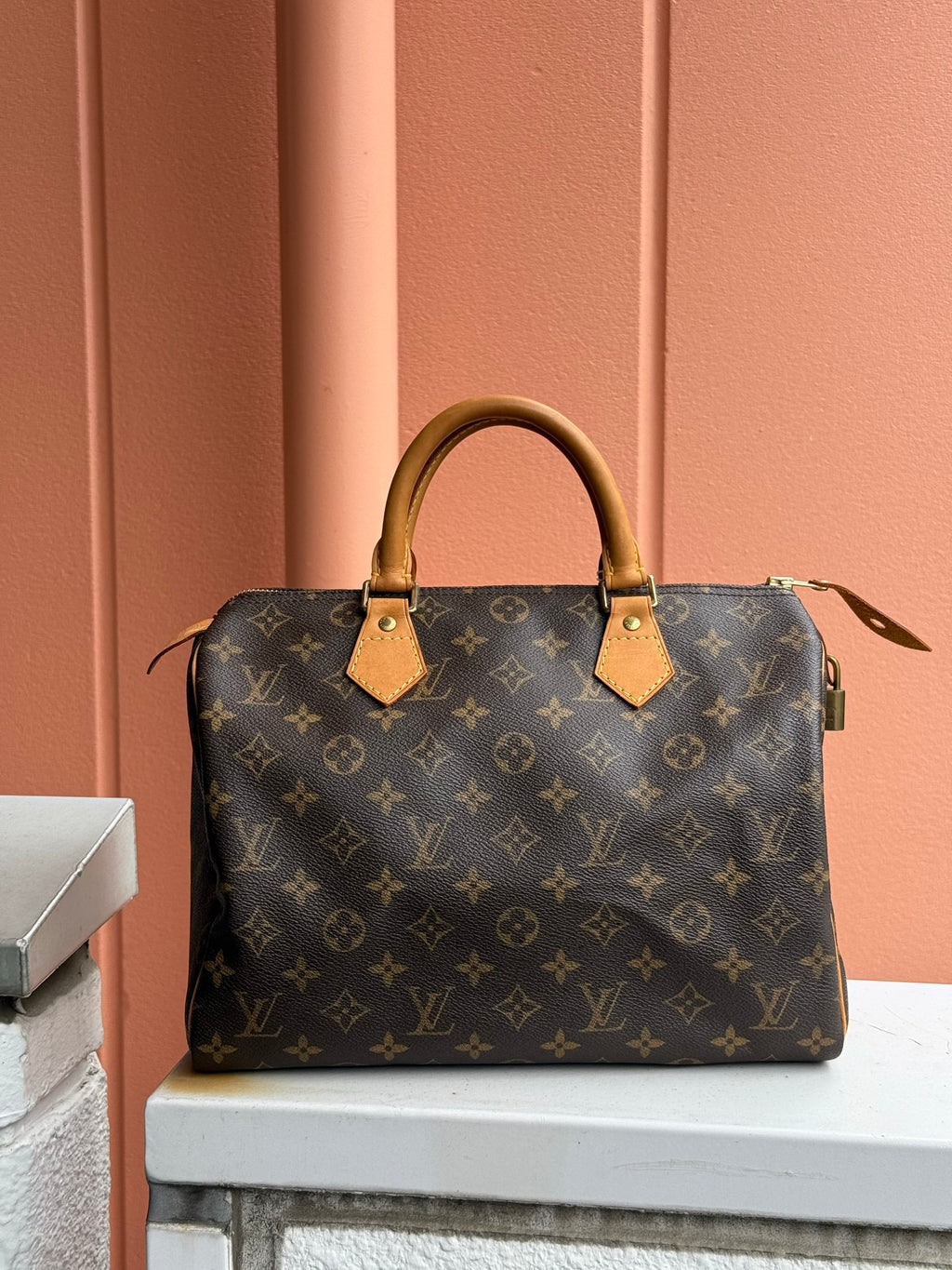 LOUIS VUITTON Monogram Speedy30 Handbag