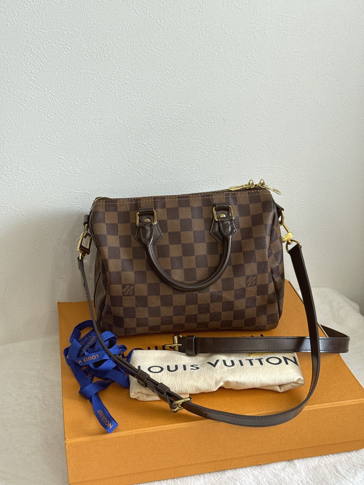 LOUIS VUITTON Damier Speedy25 Handbag