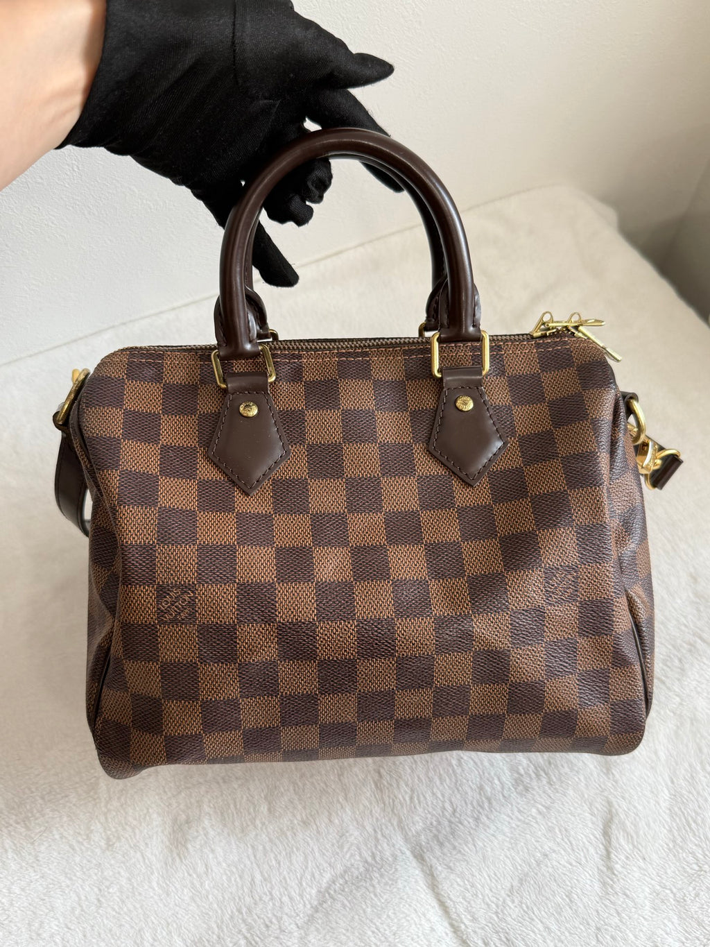 LOUIS VUITTON Damier Speedy25 Handbag