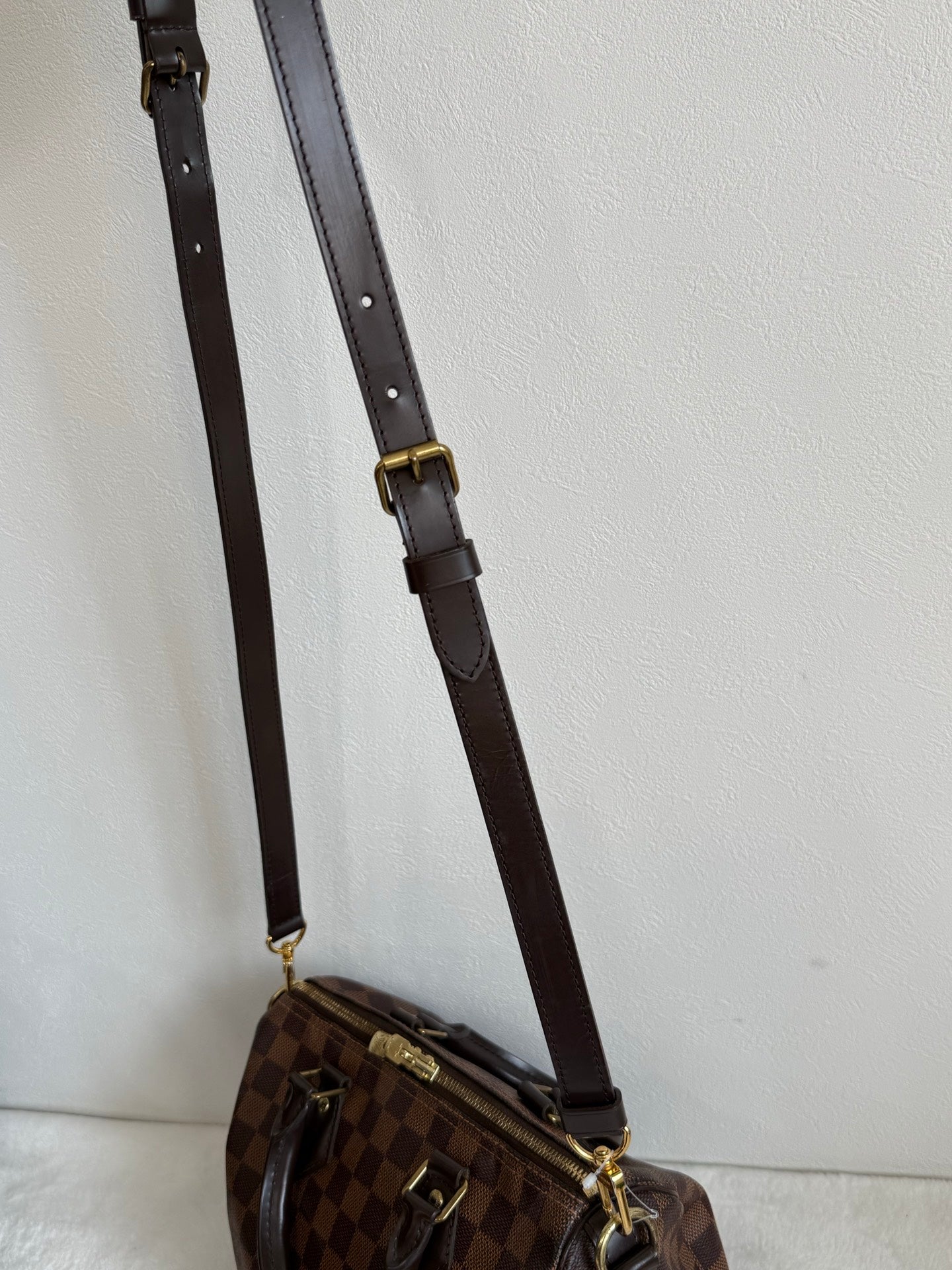 LOUIS VUITTON Damier Speedy25 Handbag