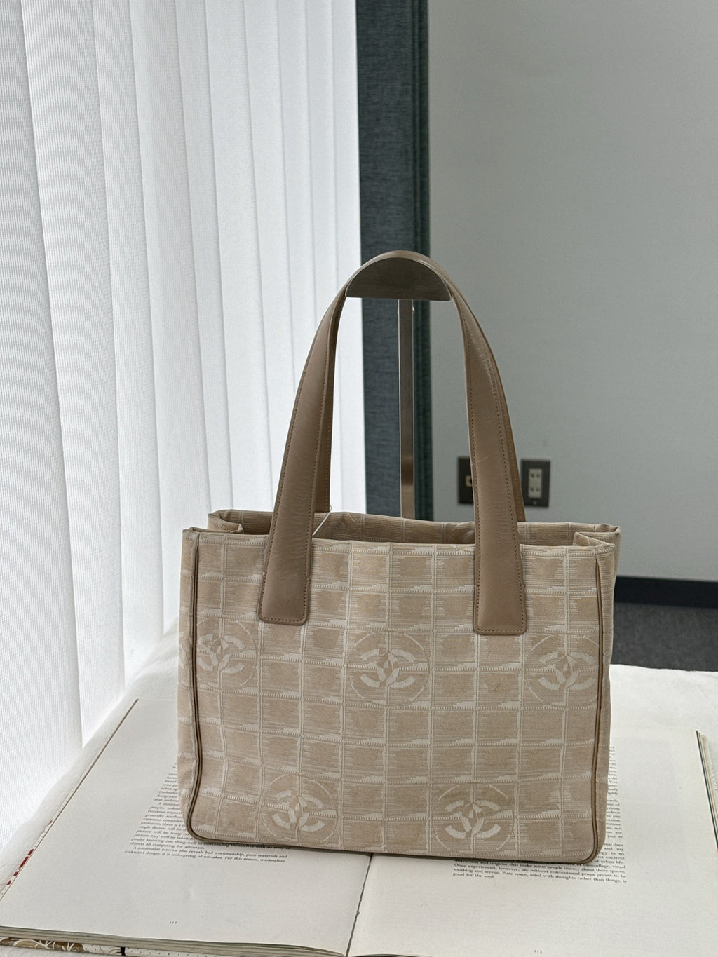 CHANEL Beige Handbag