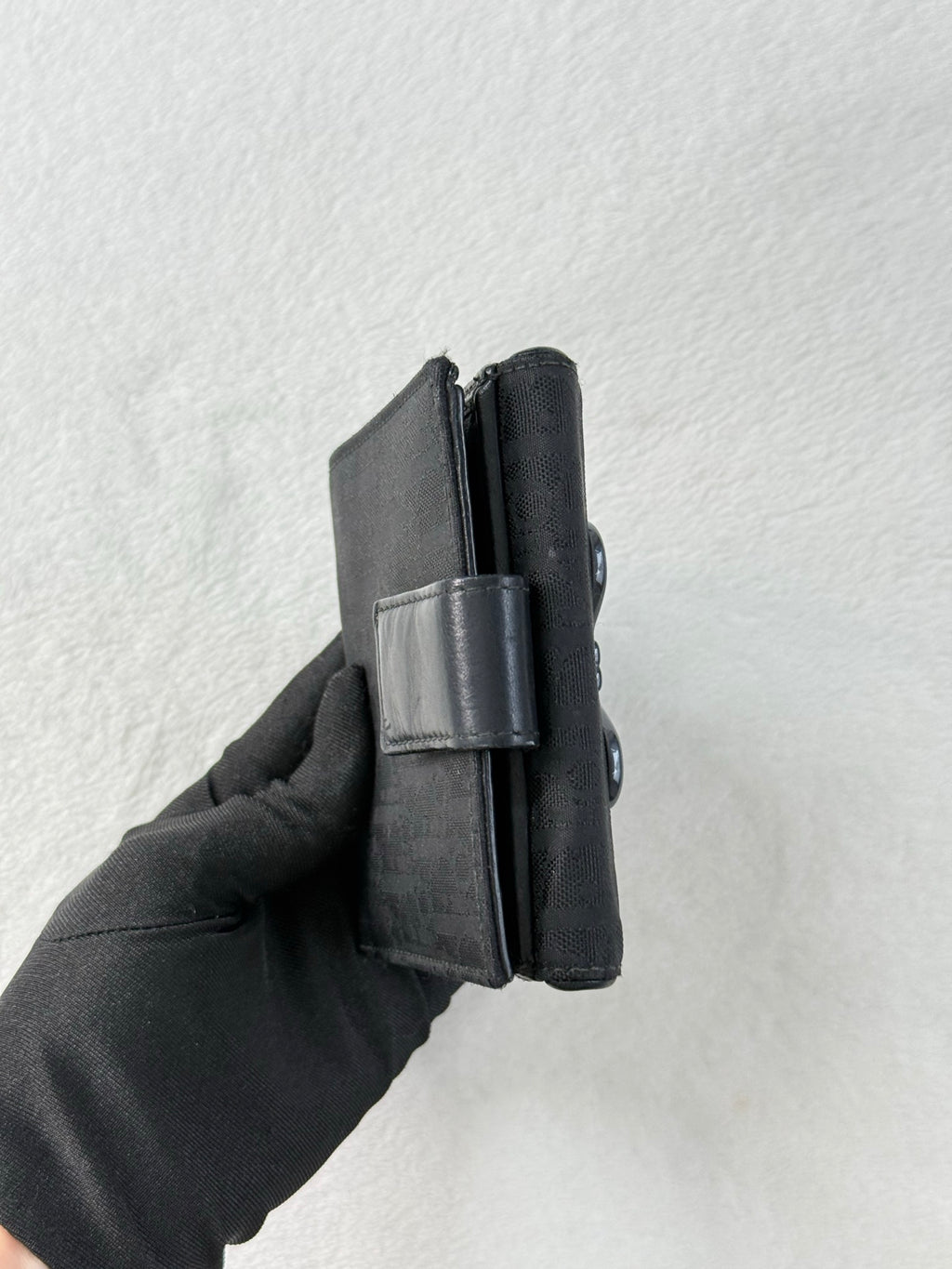 DIOR Canvas Ribbon Wallet