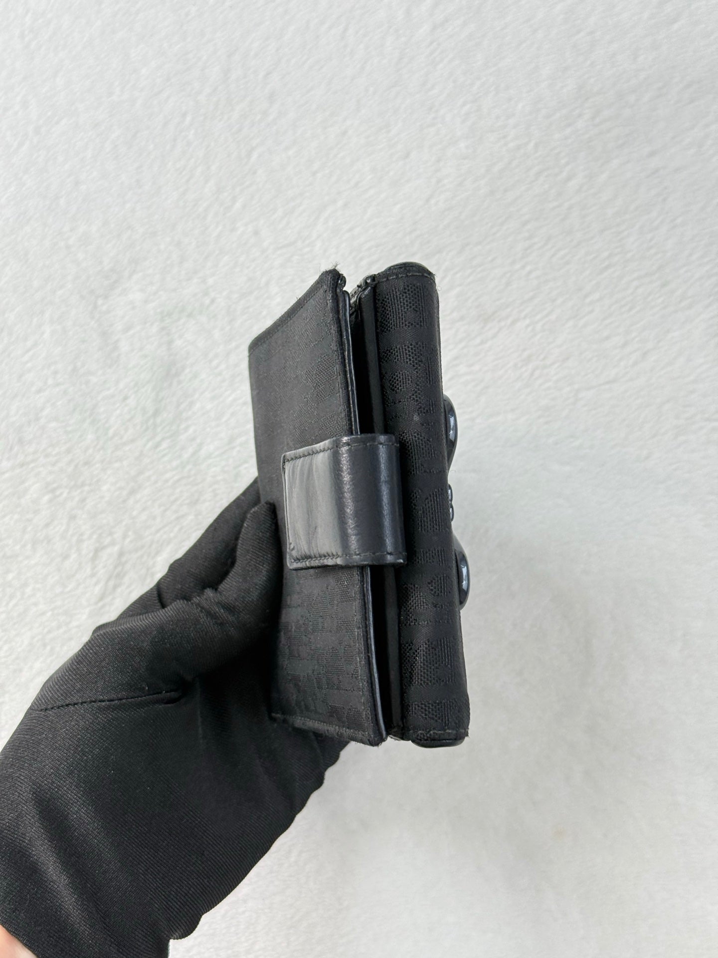 DIOR Canvas Ribbon Wallet