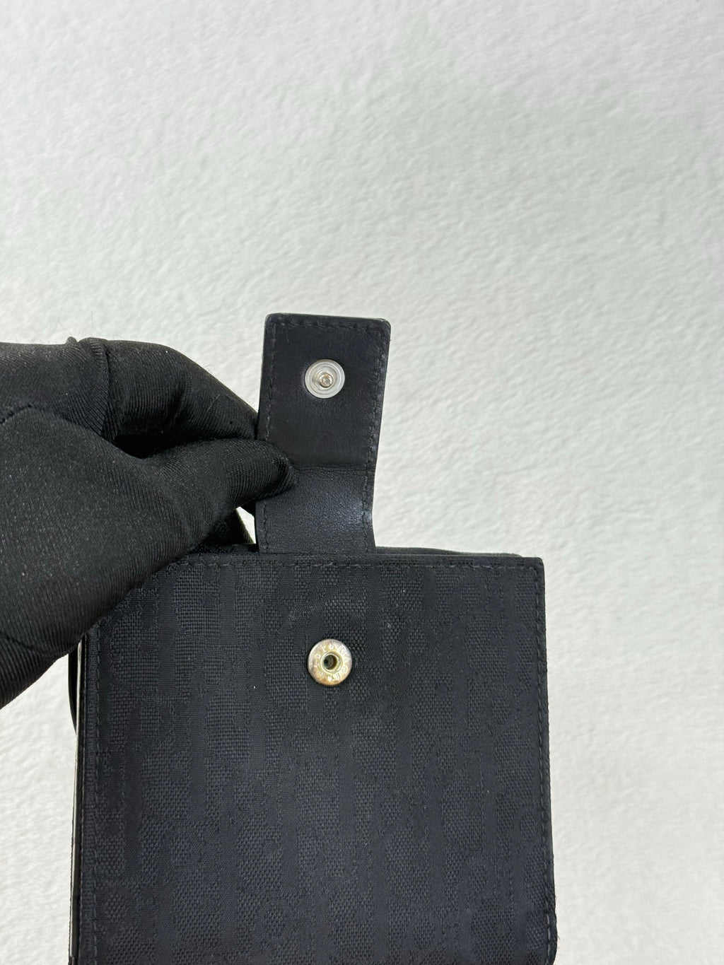 DIOR Canvas Ribbon Wallet