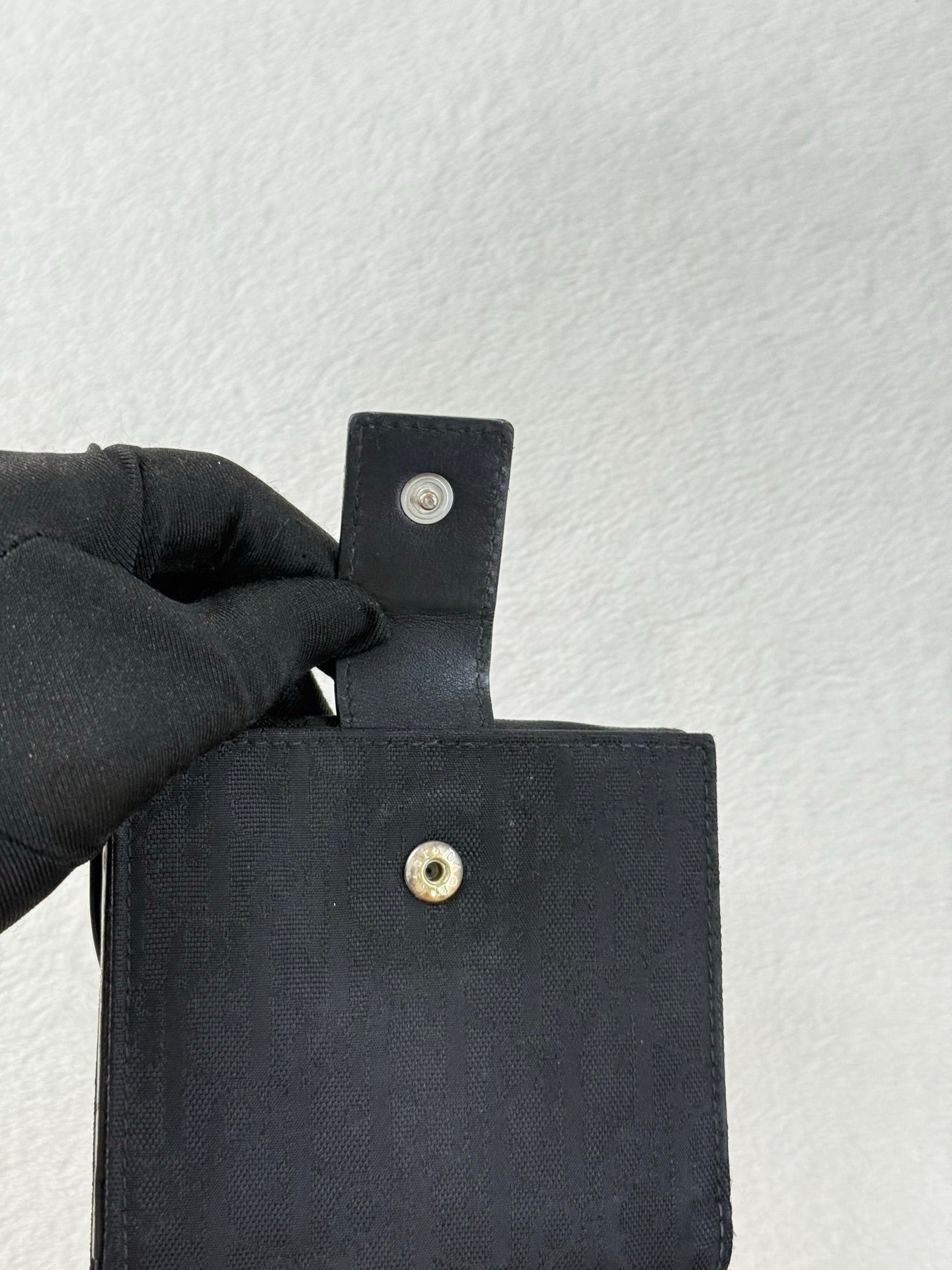 DIOR Canvas Ribbon Wallet