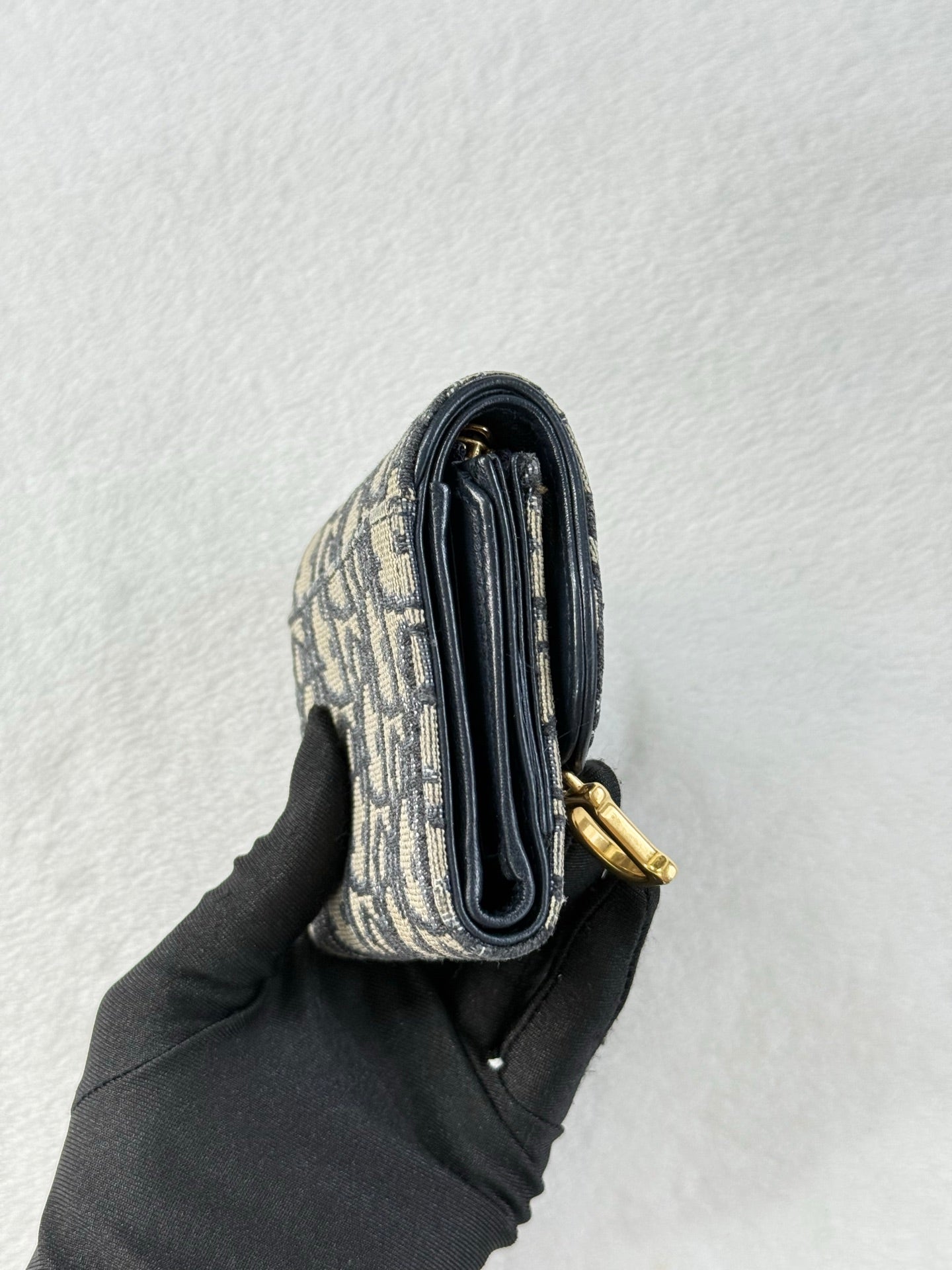 CHRISTIAN DIOR Oblique wallet