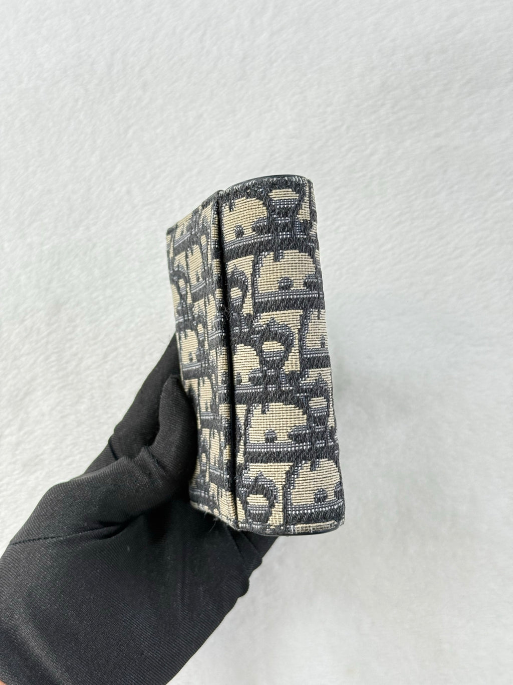 CHRISTIAN DIOR Oblique wallet