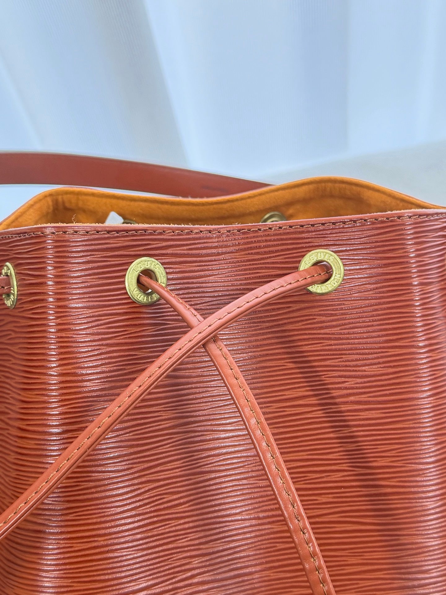 LOUIS VUITTON Epi Noé Bucketbag