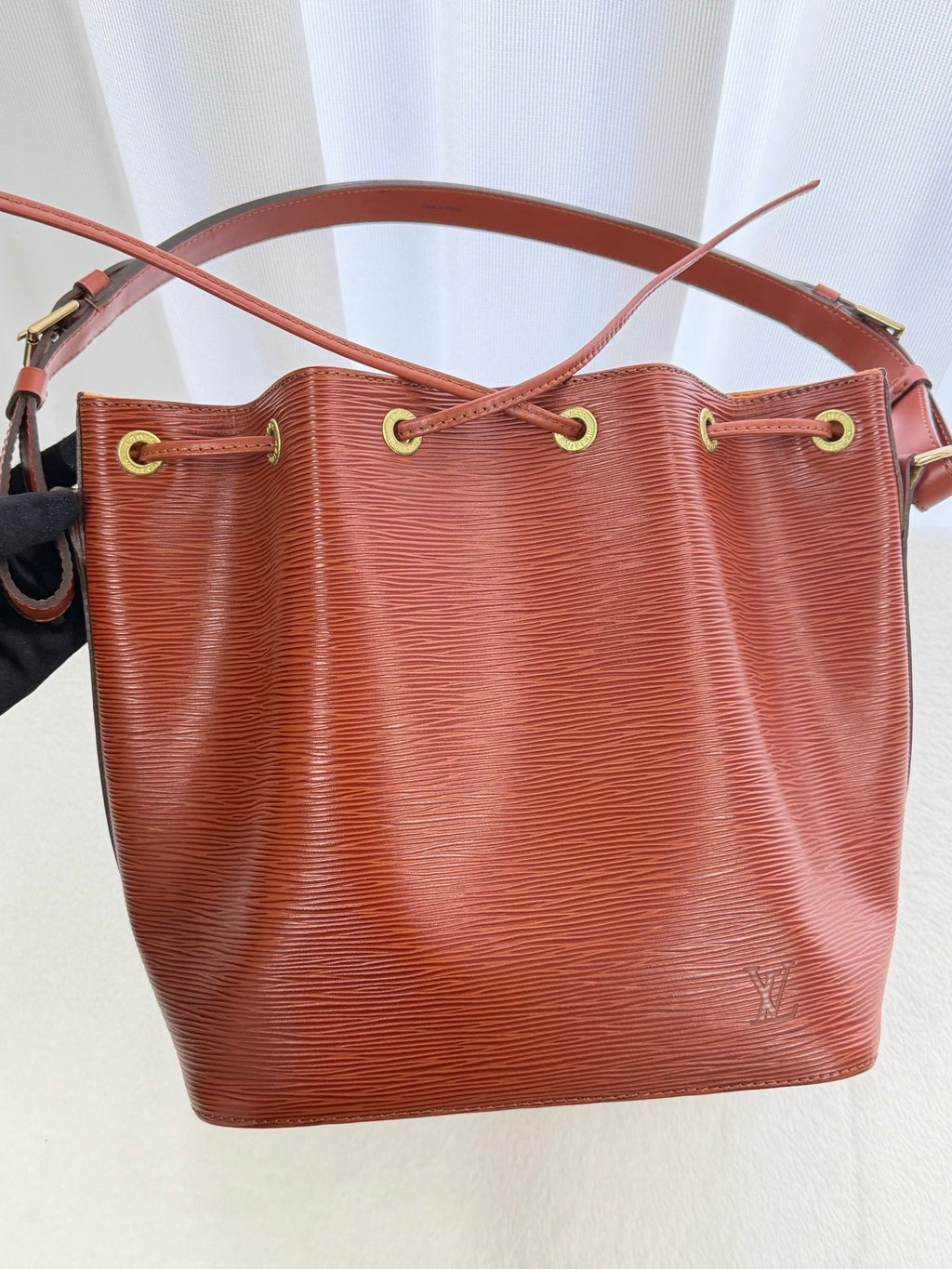 LOUIS VUITTON Epi Noé Bucketbag