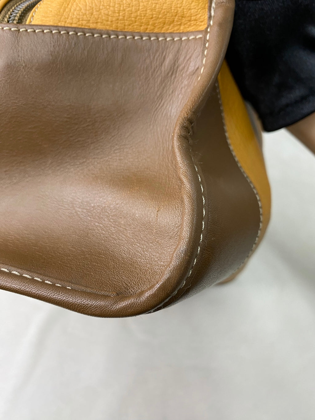 LOEWE Amazona Geniune Handbag